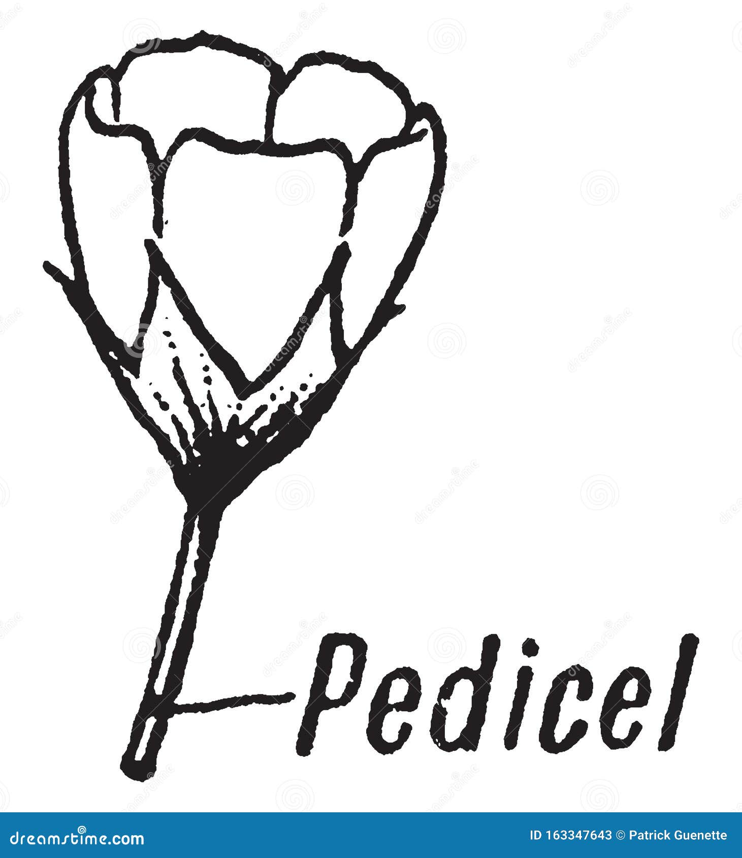 pedicel vintage 