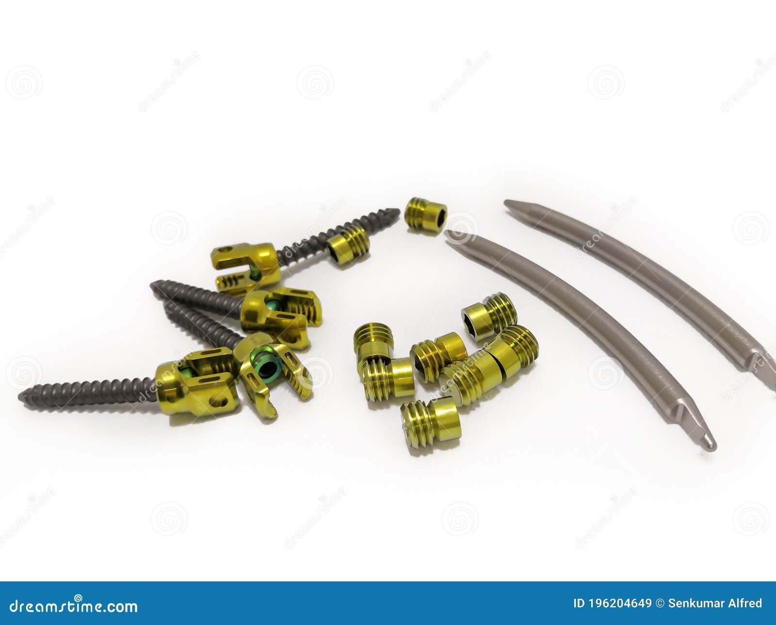 pedicle screws, nuts and rods