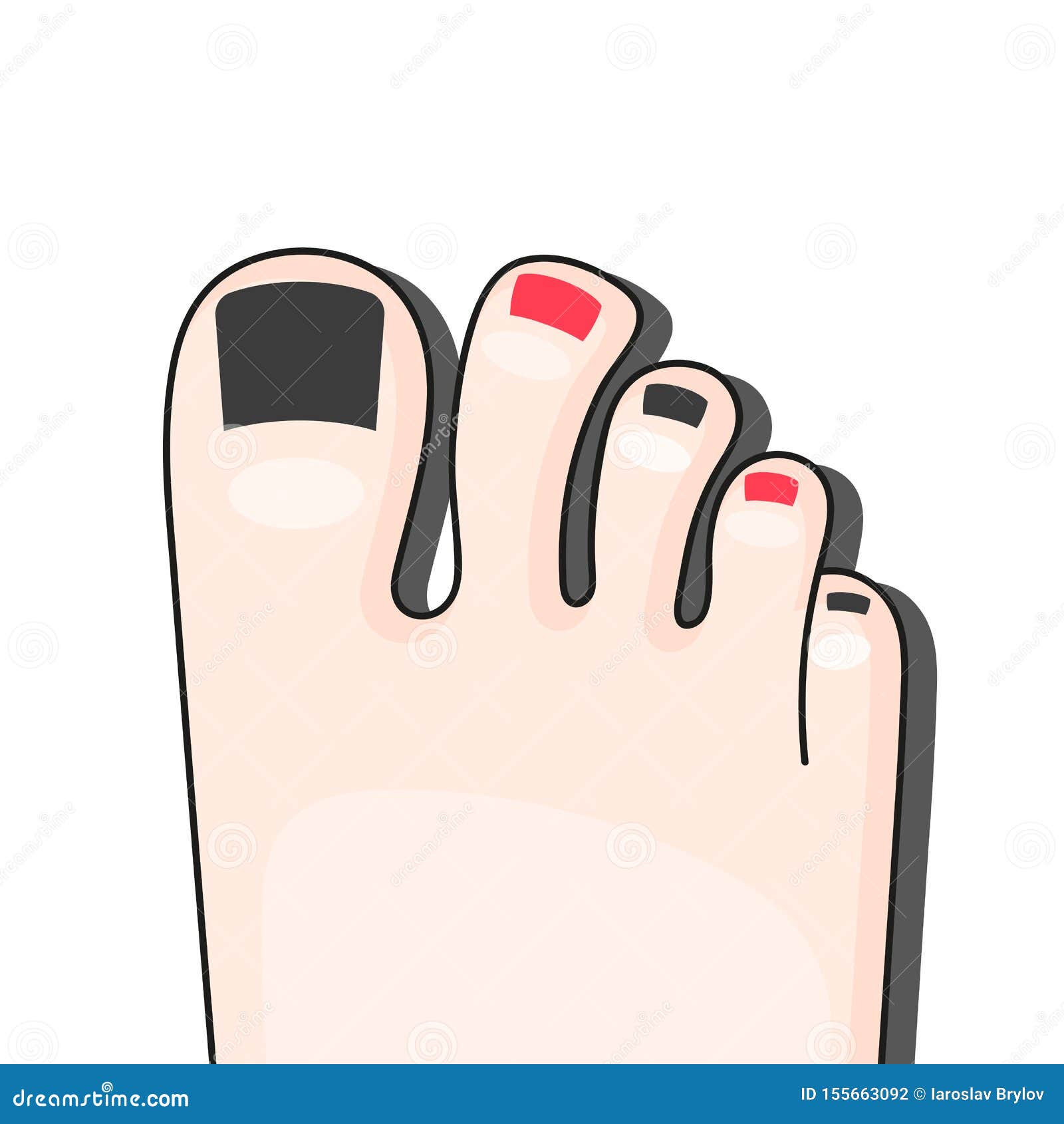 Pedicure Female Fingers Vector Illustration of Female Feet Isolated on ...