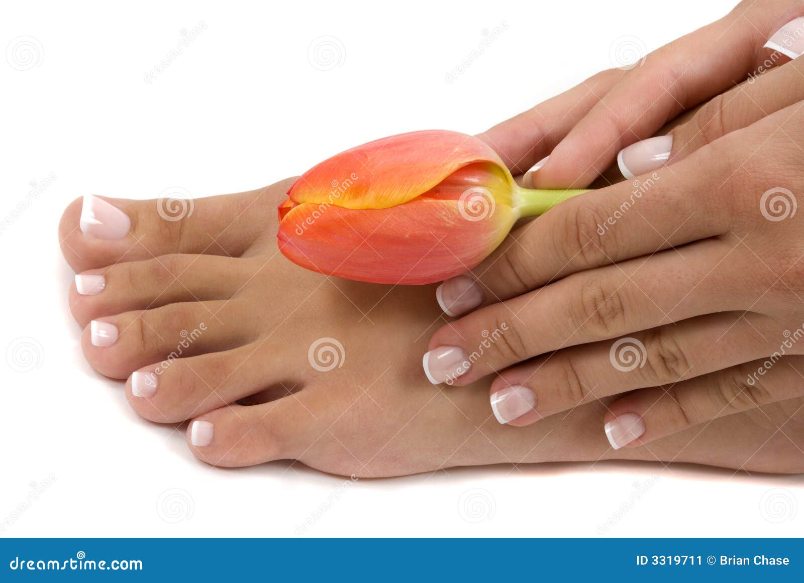 Pedicure and Manicure stock image. Image of therapy, pedicure 3319711