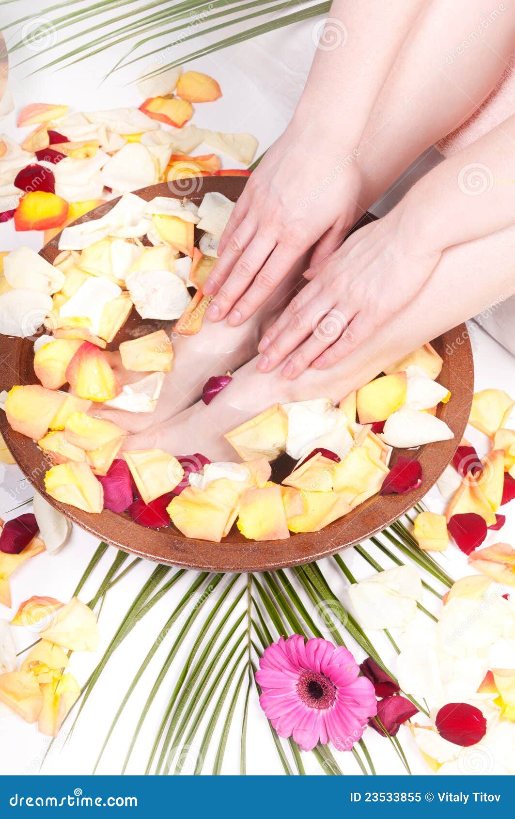 Pedicure and Manicure Spa with Petals and Flowers Stock Image Image