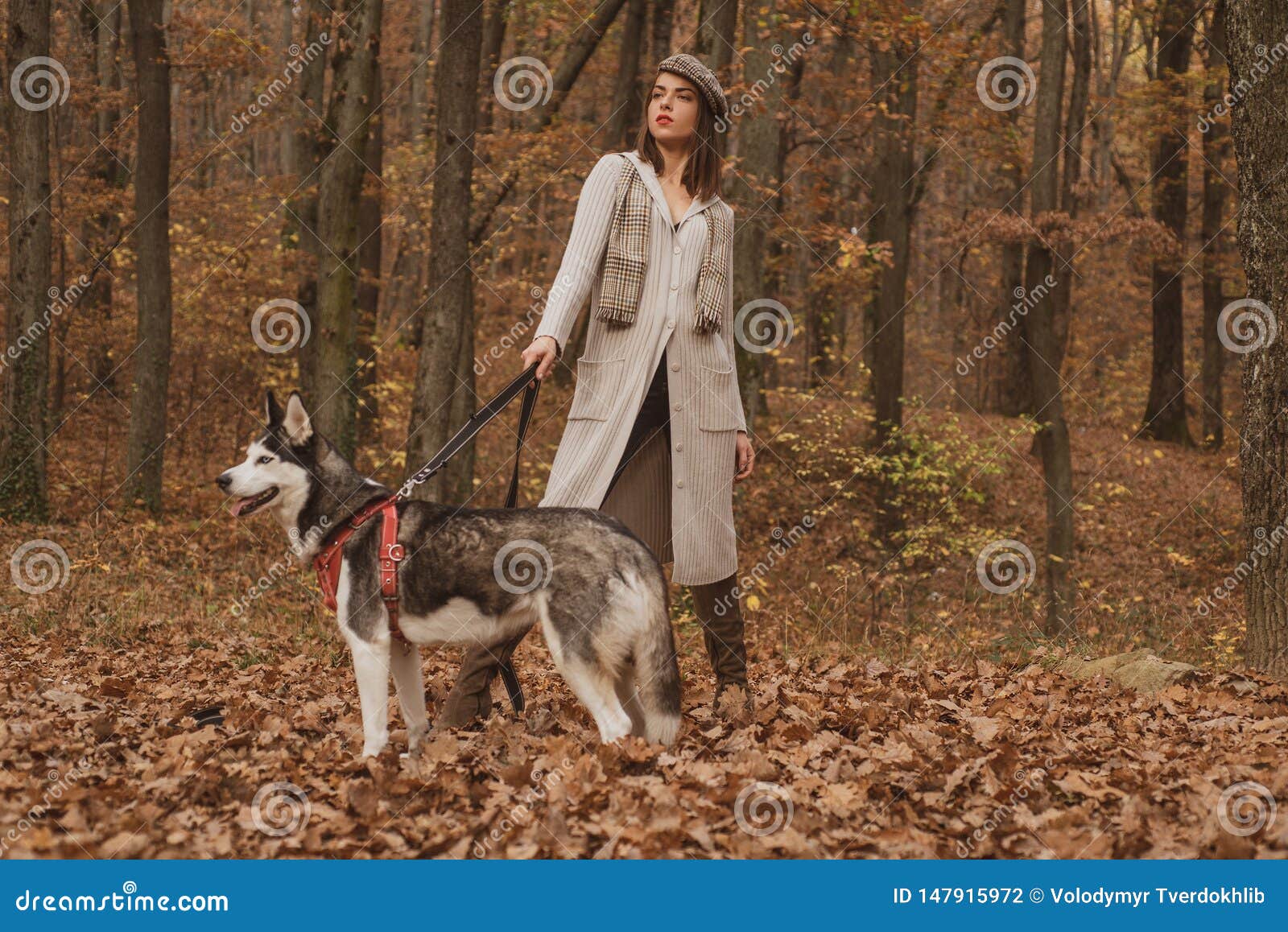 best dog leash for husky