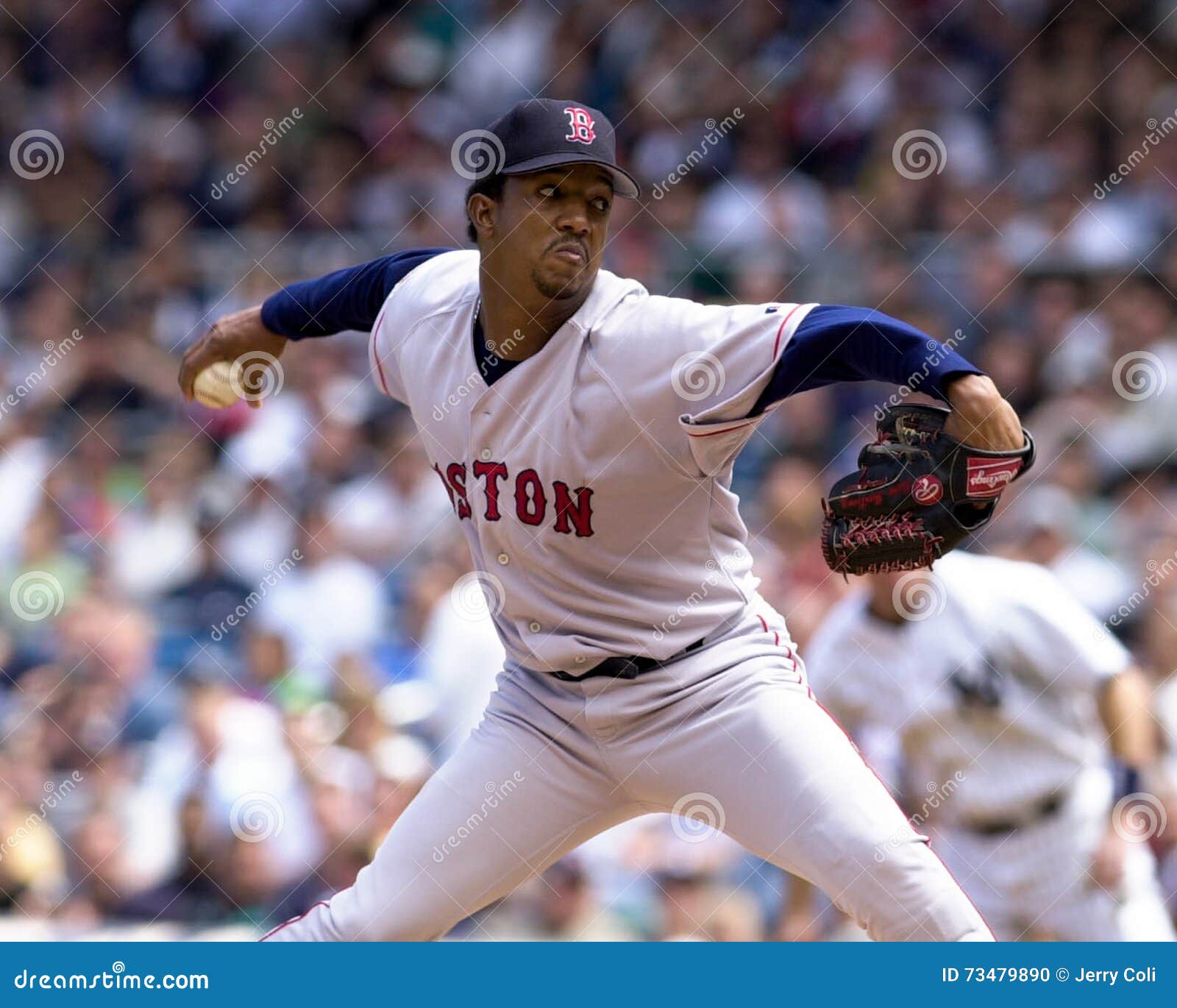 222 Pedro Martinez Stock Photos - Free & Royalty-Free Stock Photos