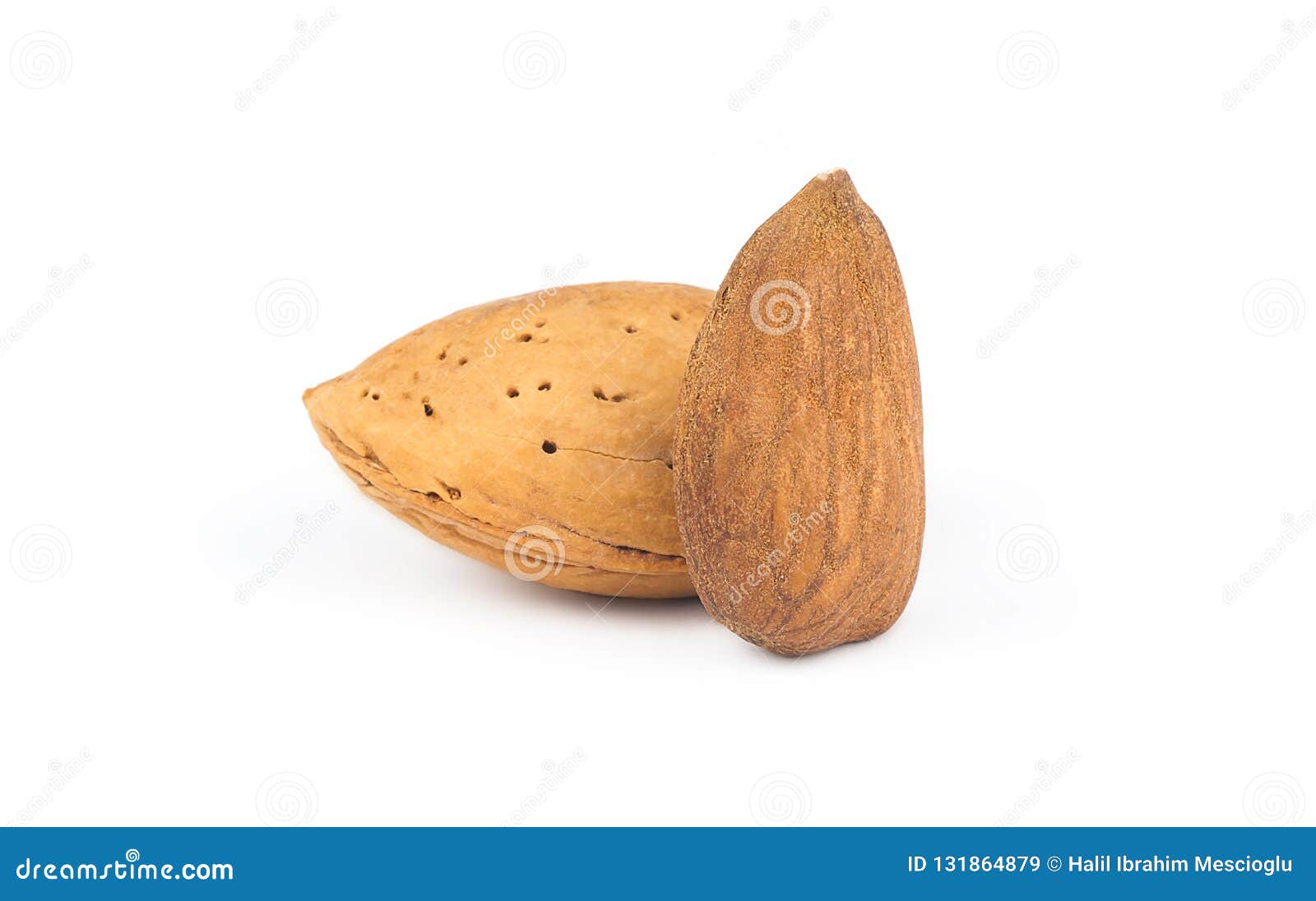 Peeled Almond Nut with Shell Isolated on White Background. Stock Image