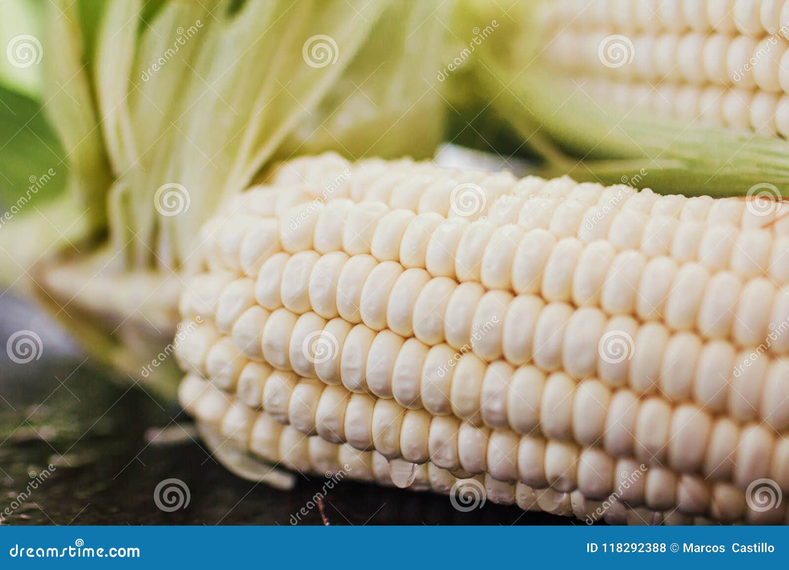 peeled corn, elote maiz mexican food in mexico
