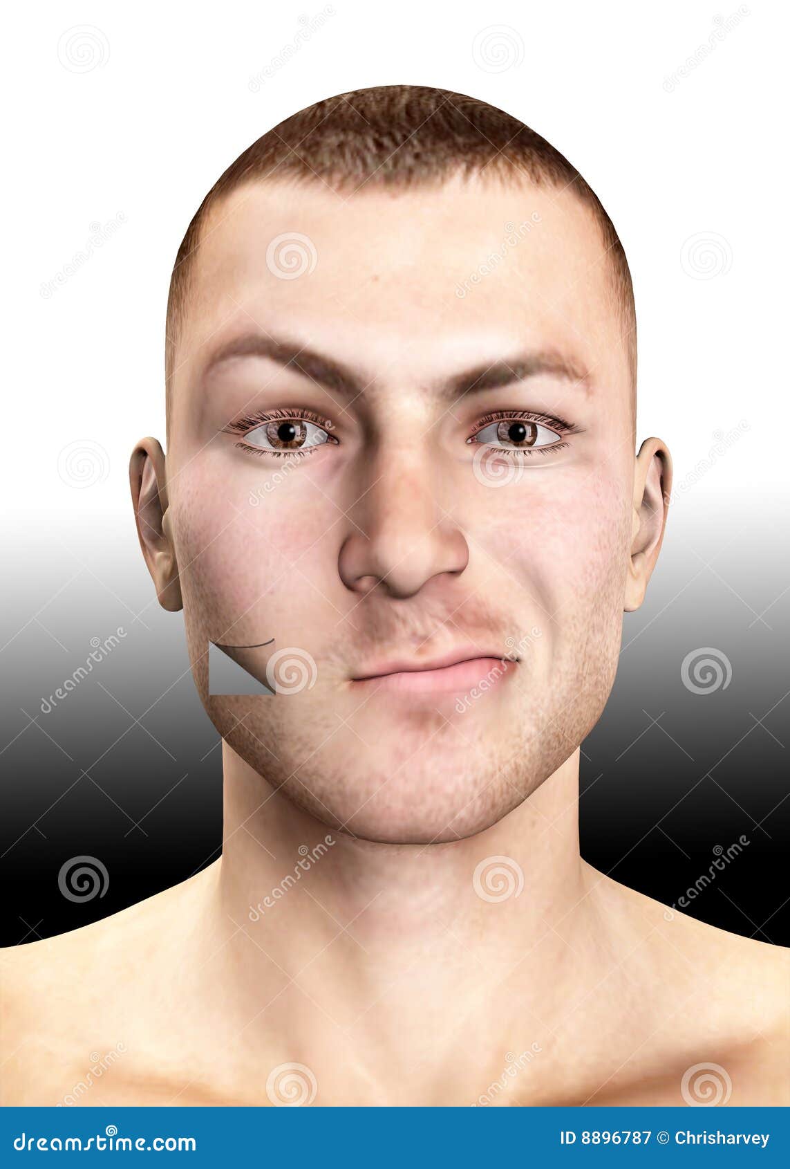 Peeled Face stock illustration. Illustration of eyes, eyebrow 8896787