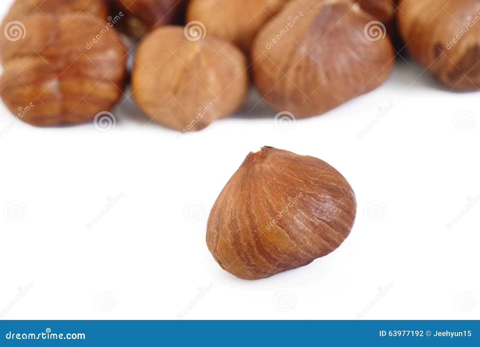 Peeled Hazelnuts Isolated on White Stock Photo Image of organic