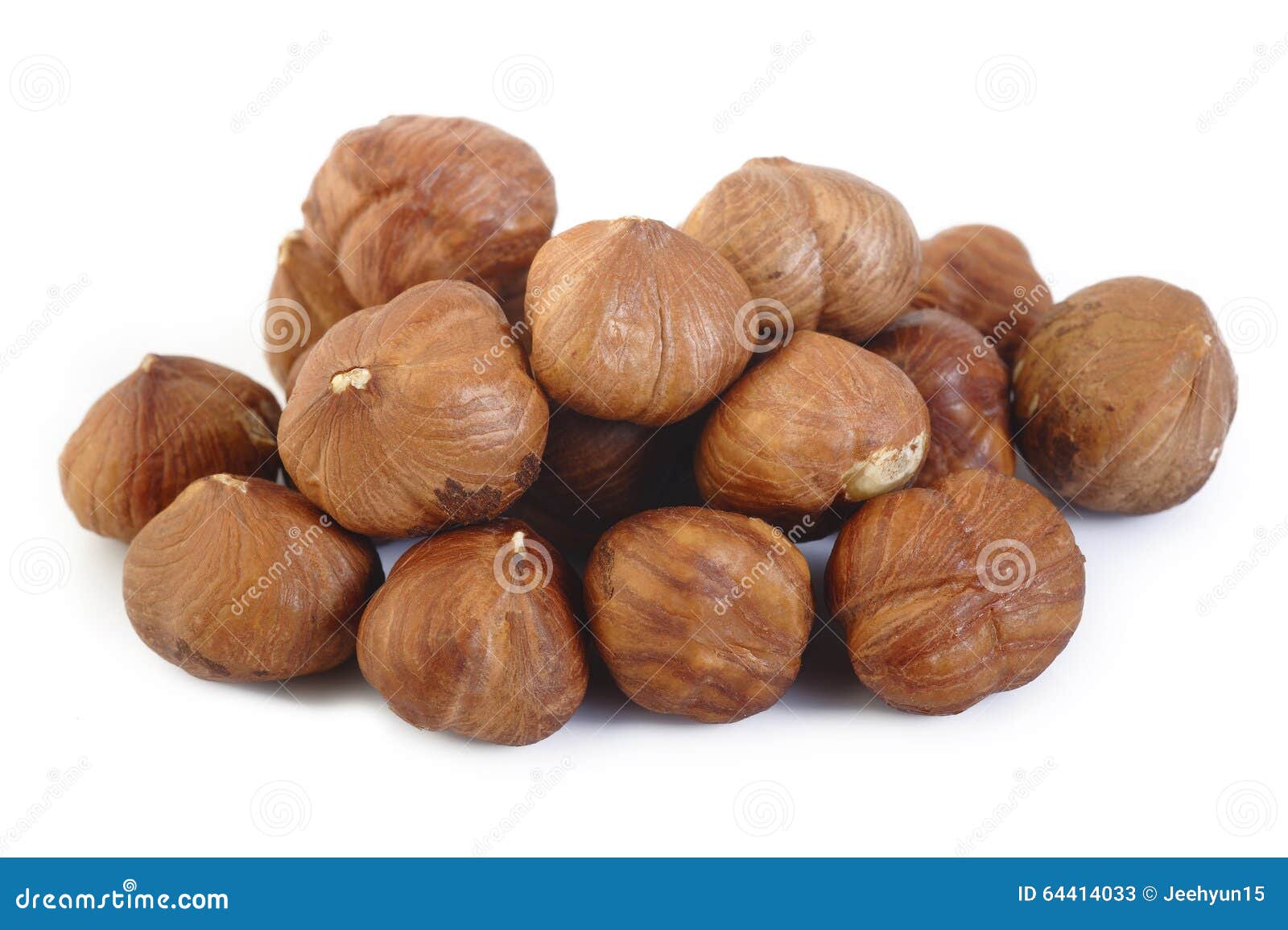 Peeled Hazelnuts Isolated on White Stock Image Image of snack, food