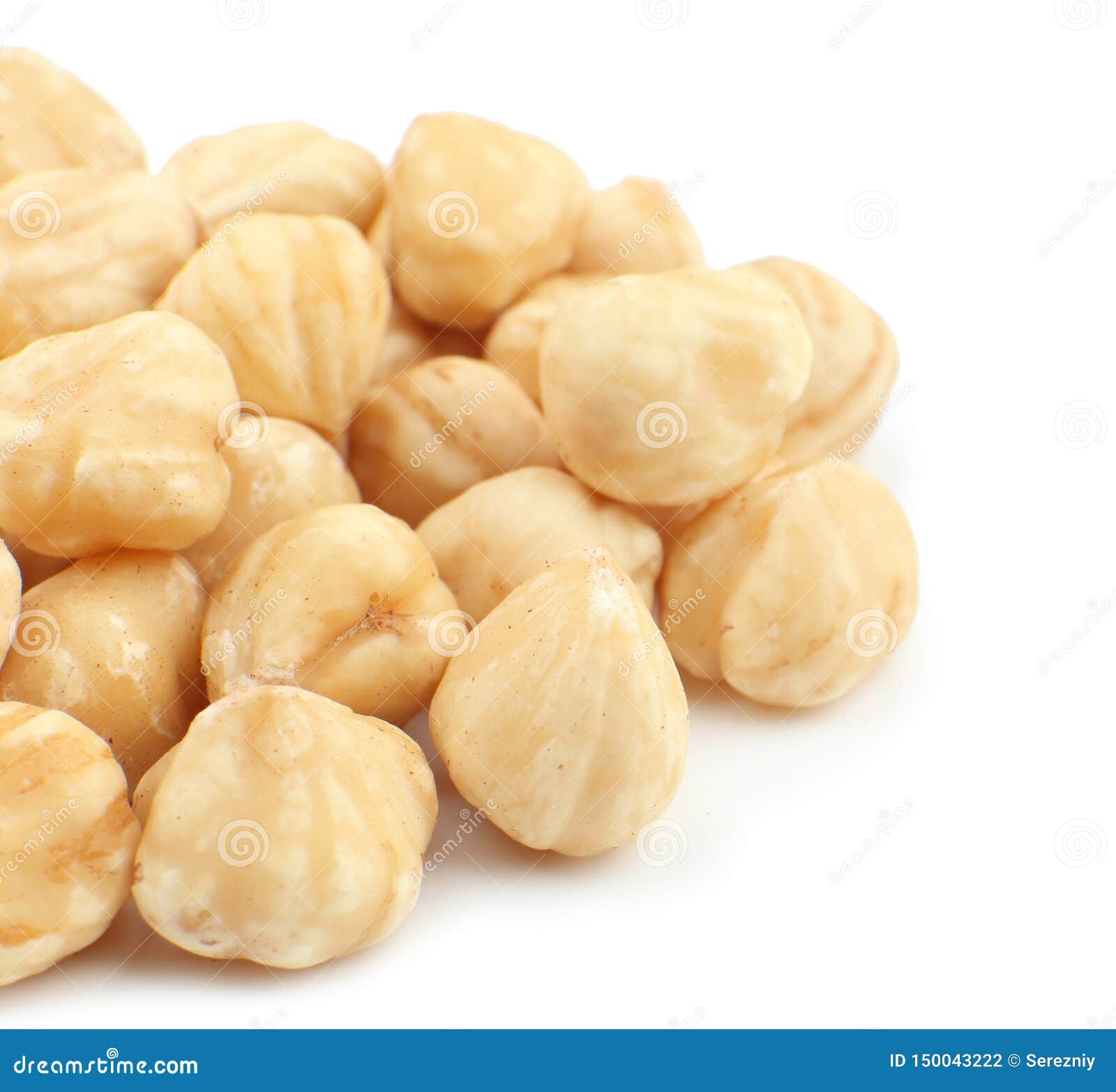 Peeled Hazelnuts on White Background Stock Photo Image of delicacy