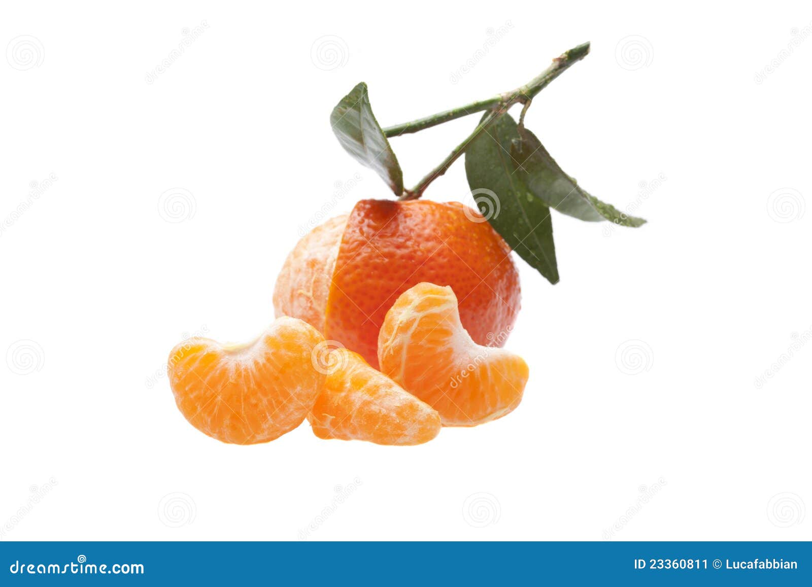 Peeled Mandarine Orange Tangerine Stock Image Image of organic, fruit