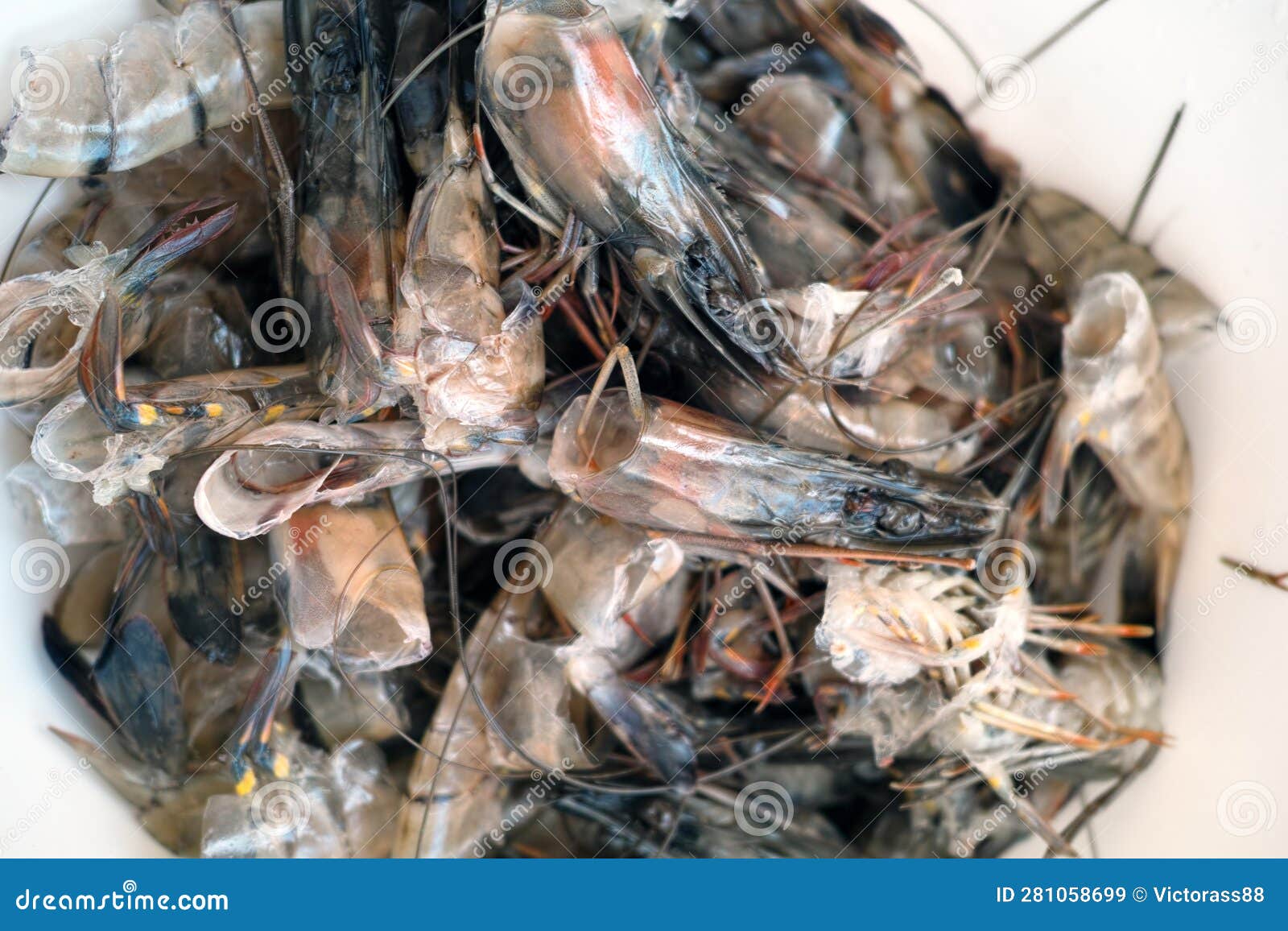 Peeled shrimp shells stock image. Image of preparation 281058699