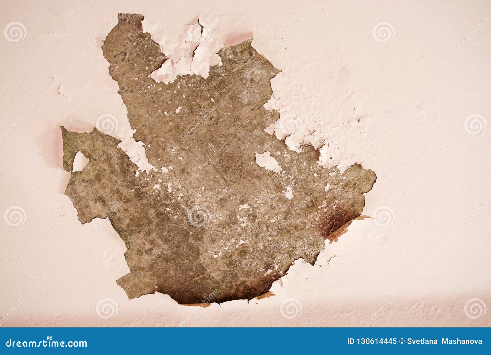 Peeling Off the Plaster on the Wall Stock Image Image of grungy