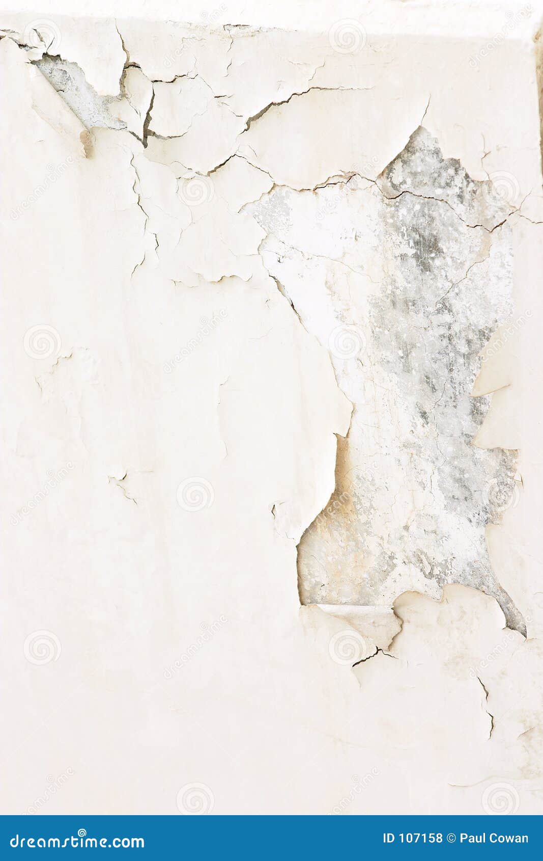 Peeling Paint On The Walls Of A Decaying Old Mansion House. Stock Photography CartoonDealer