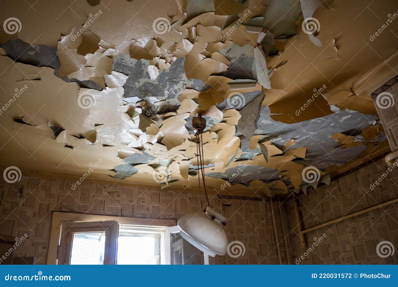 Peeling Paint from the Ceiling Stock Photo Image of damp, leaked