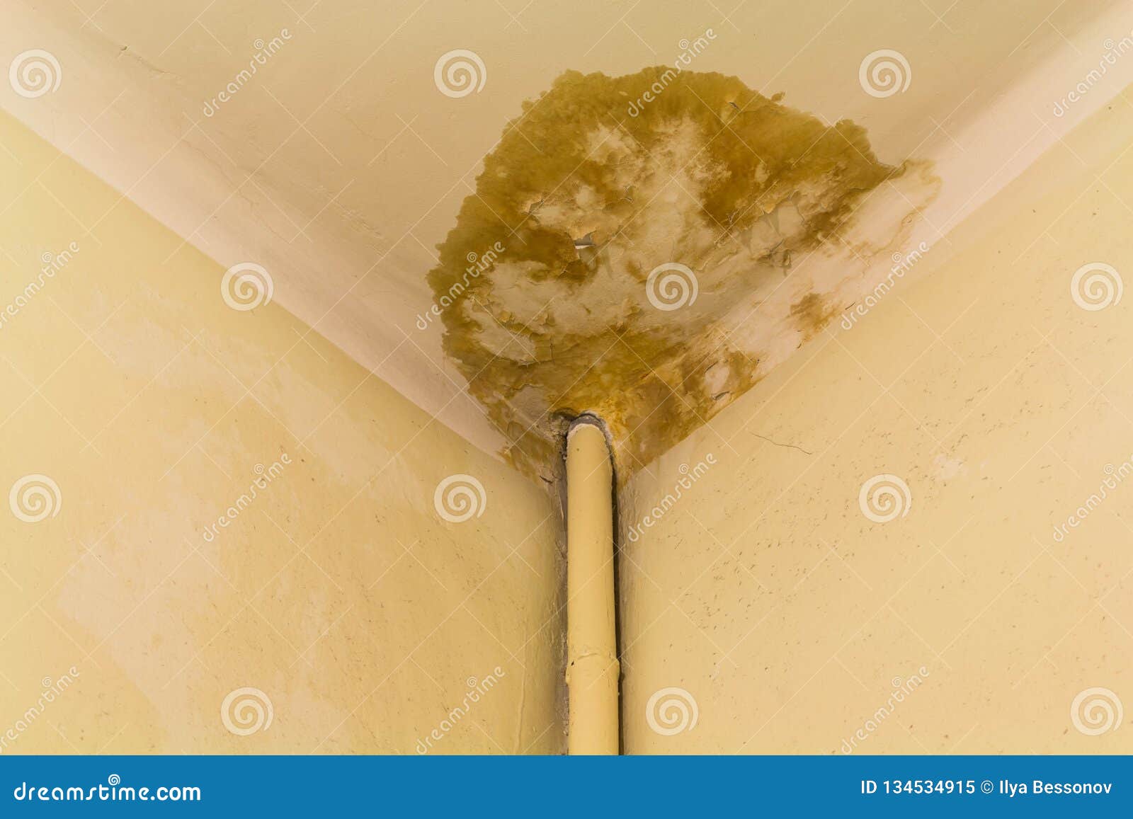 Peeling Paint On The Ceiling Rusty Water Leaking Pipe Repair Is