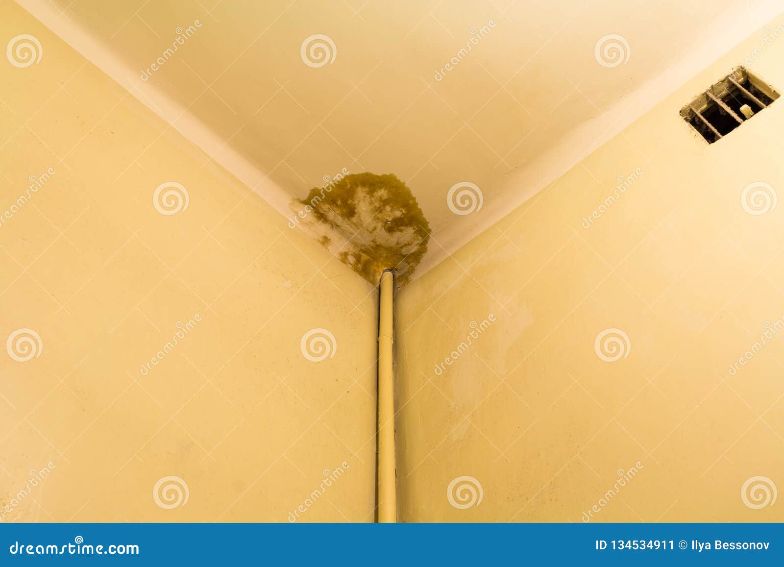 Peeling Paint On The Ceiling Rusty Water Leaking Pipe Repair Is