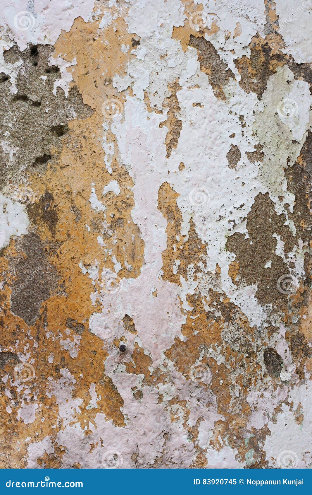 Peeling Paint on Cement Wall. Stock Image Image of cement, crack