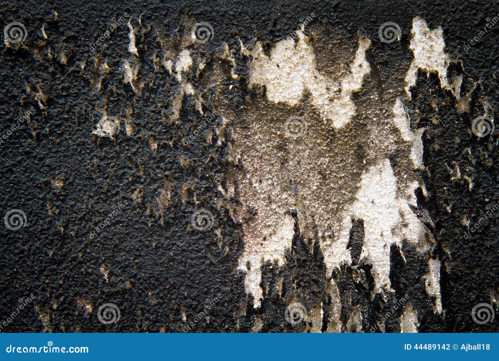 Peeling Paint on Cement Wall Texture Stock Photo Image of exterior