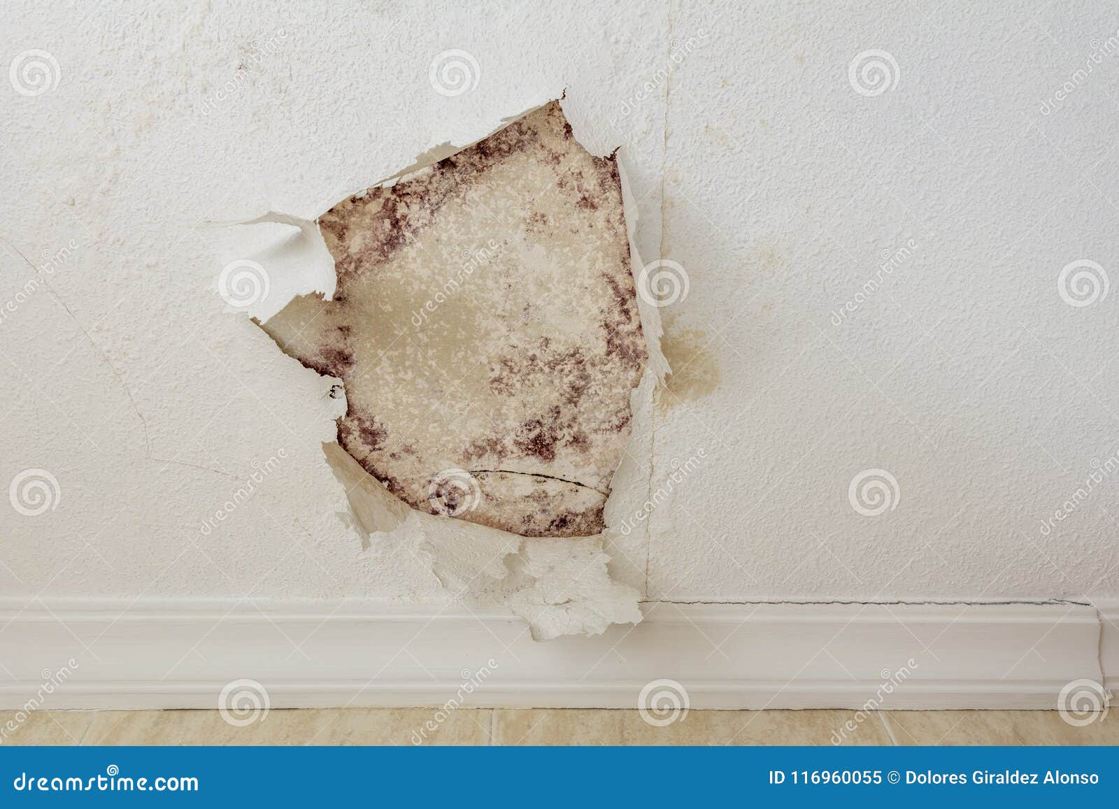 Peeling Paint Wall Of Water Leak In Plaster Ceiling Stock Image