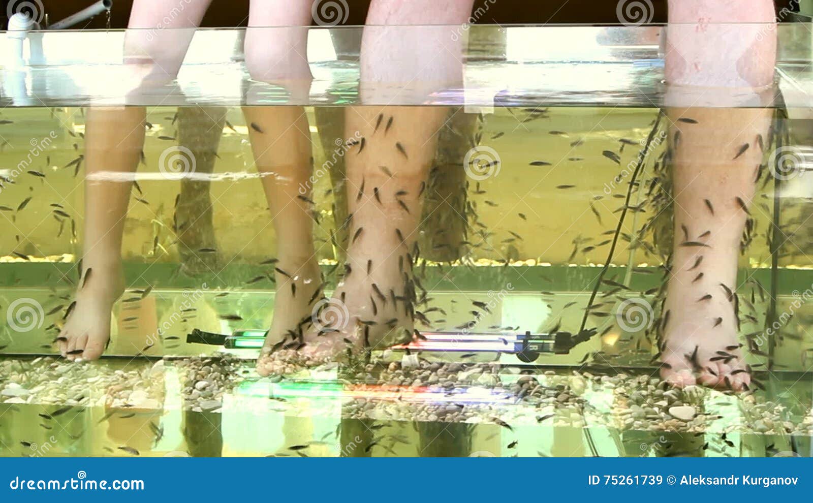 Peeling Skin Feet of Tropical Fish Stock Video Video of exfoliate
