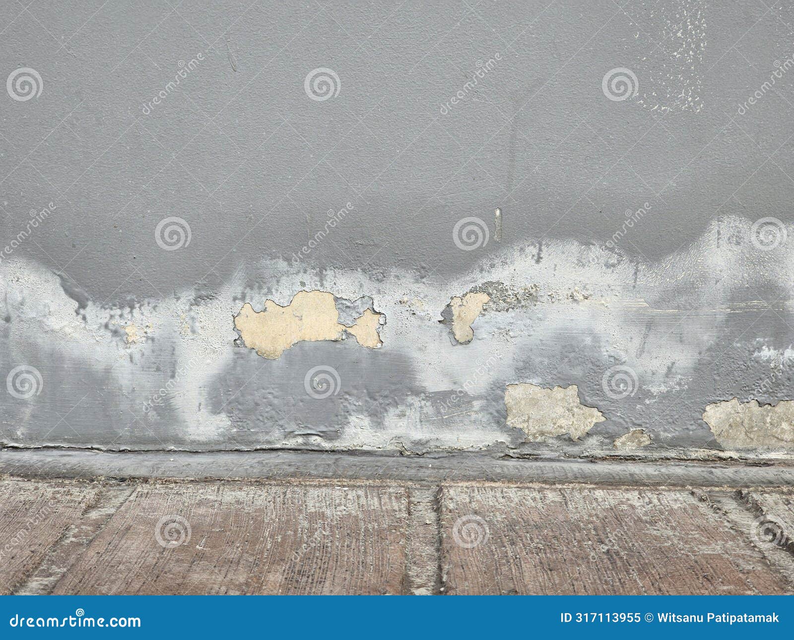 Peeling Wall Paint is Caused by Moisture and Mold Stock Image Image