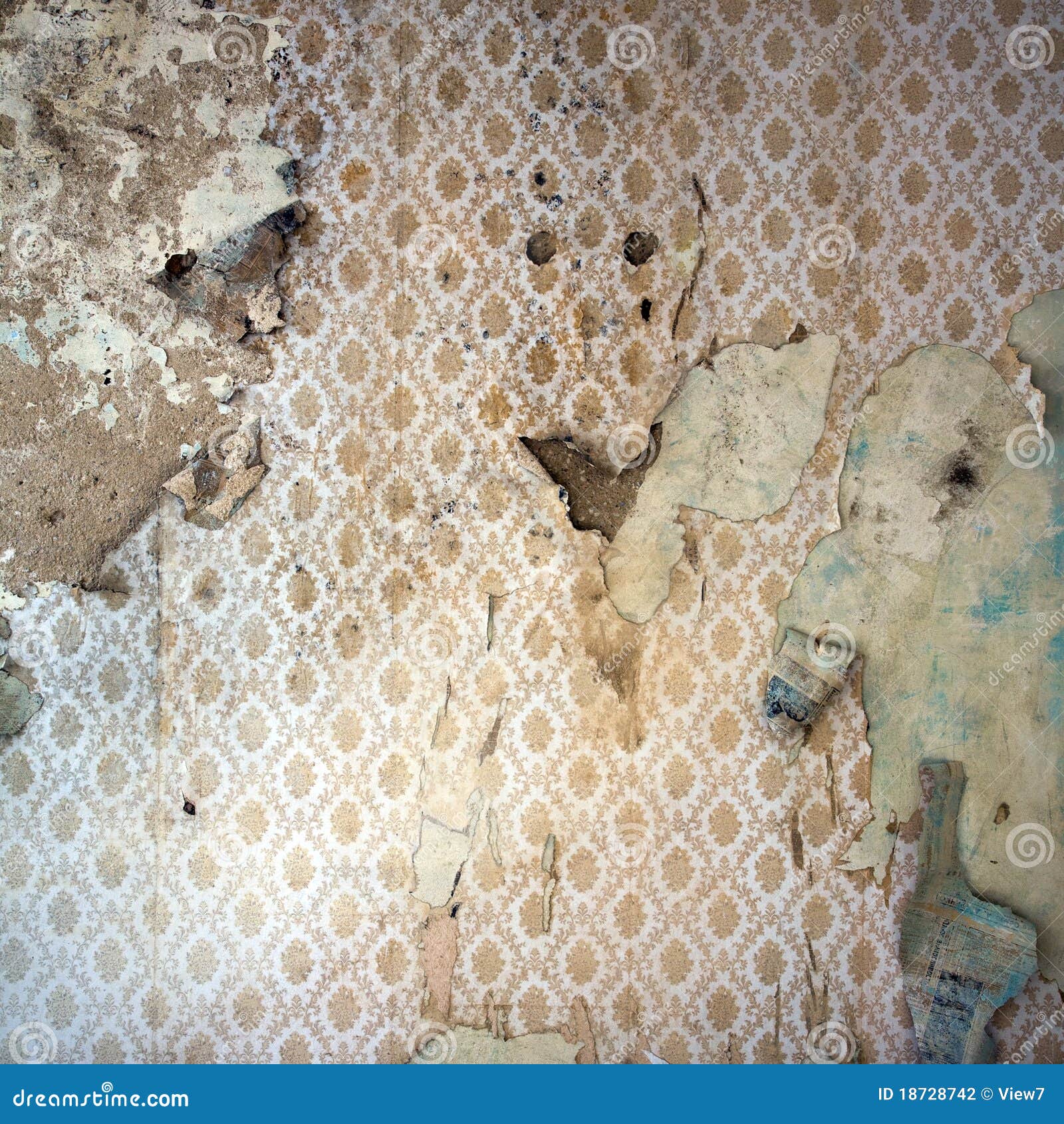 37,500 Peeling Wallpaper Stock Photos - Free & Royalty-Free Stock Photos from Dreamstime 37,500 Peeling Wallpaper Stock Photos - Free & Royalty-Free Stock Photos from Dreamstime