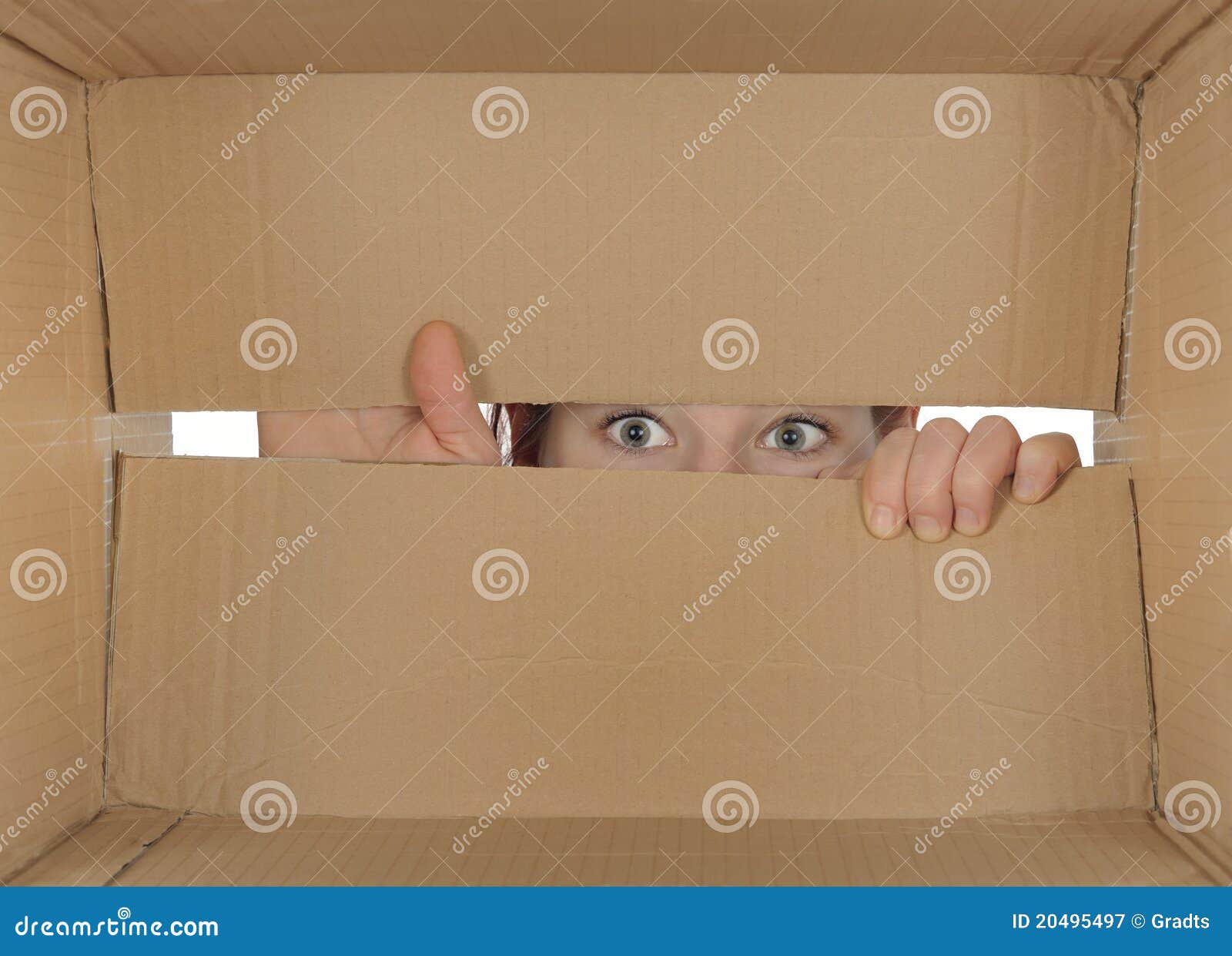 Peering Open Cardboard Box Stock Photos - Free & Royalty-Free Stock Photos  from Dreamstime
