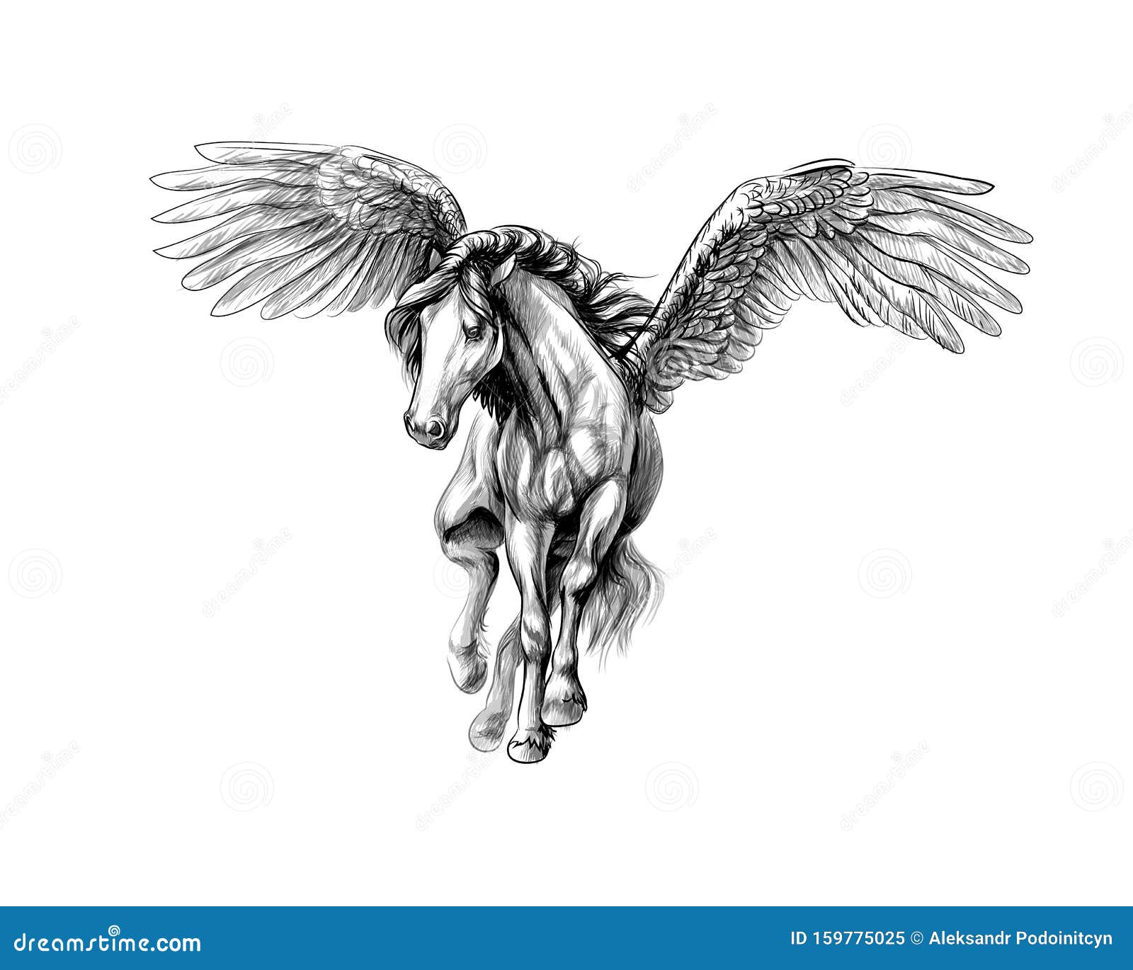 GuuhDesenhos: Como desenhar Pegasus - Cavalo com asas