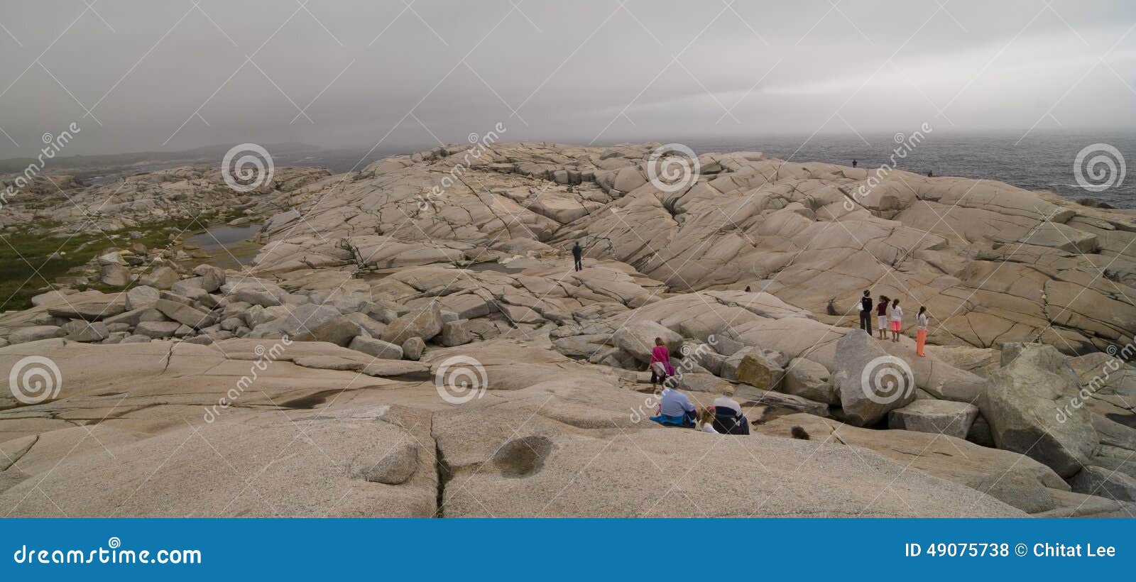 Peggy Cove Beach photo stock éditorial. Image du atlantique 49075738