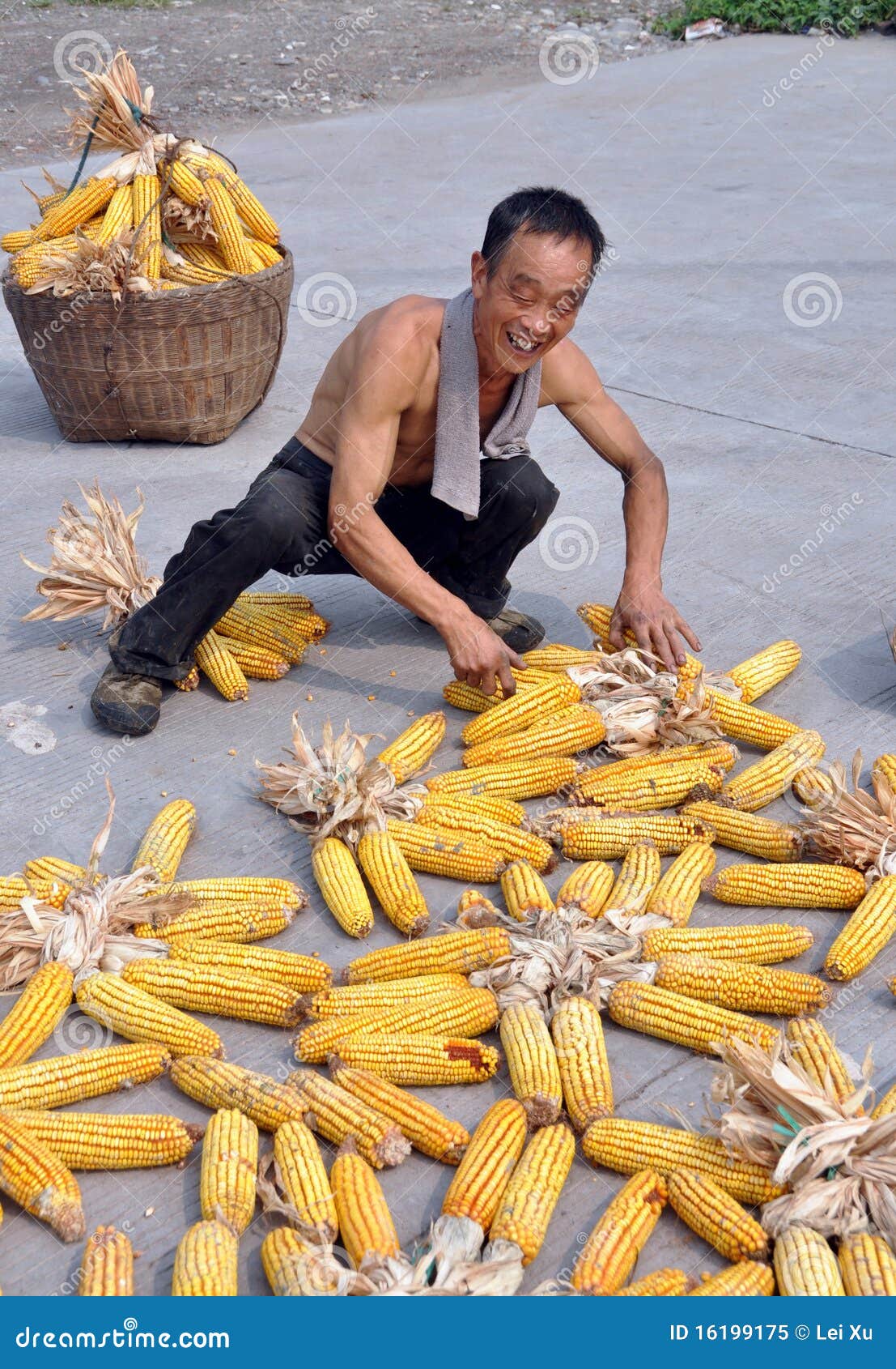 Pegzhou, China Farmer Drying Corn Editorial Image Image 16199175