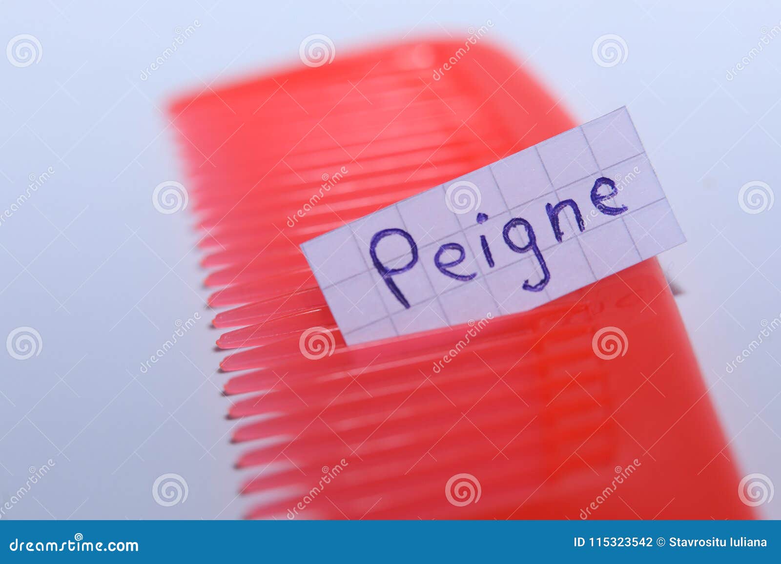 peigne word in french for comb in english