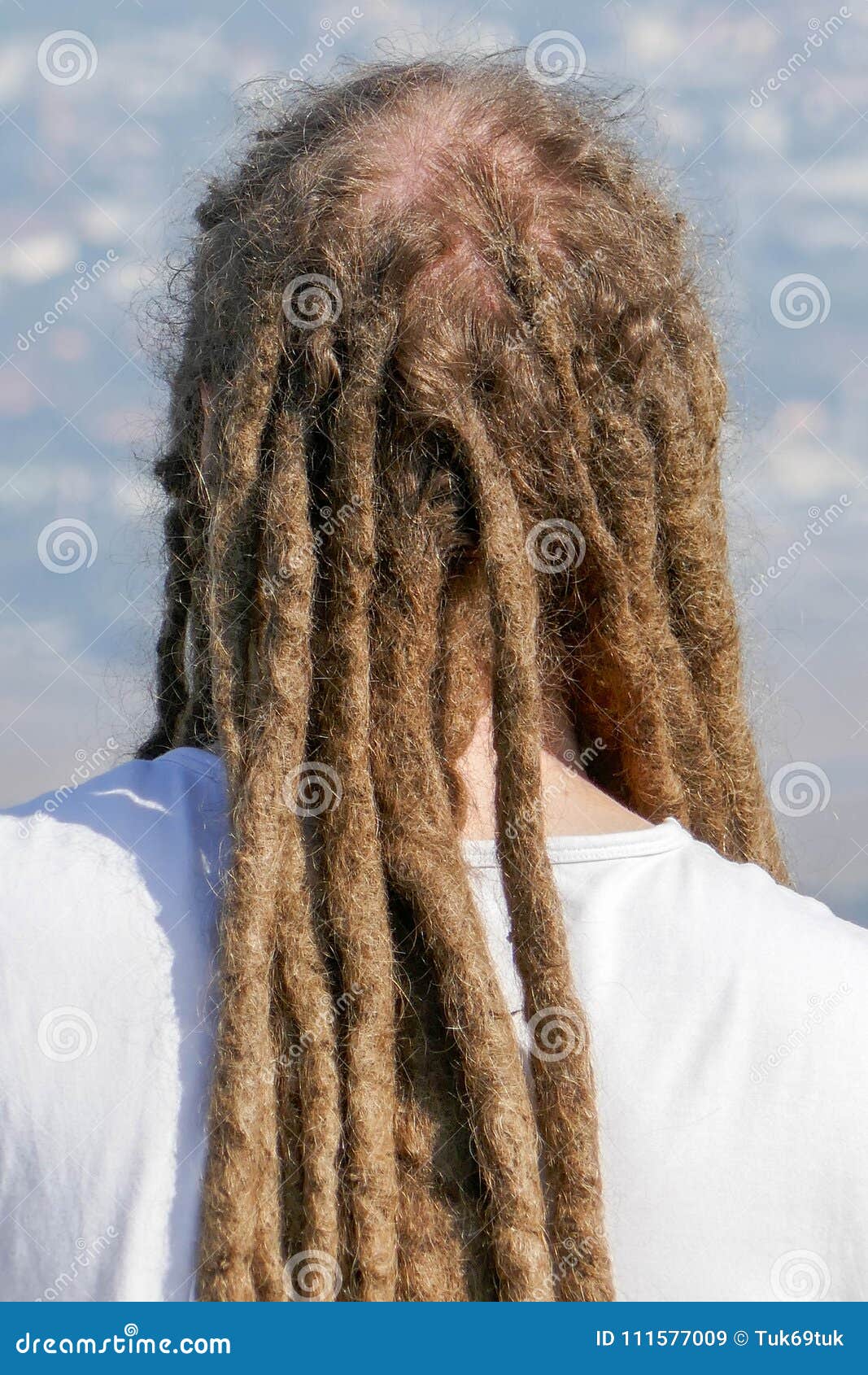 Peinado De Los Dreadlocks Del Hombre Montante Del Reggae De Los Dreadlocks  Del Pelo Imagen de archivo - Imagen de fondo, manera: 111577009