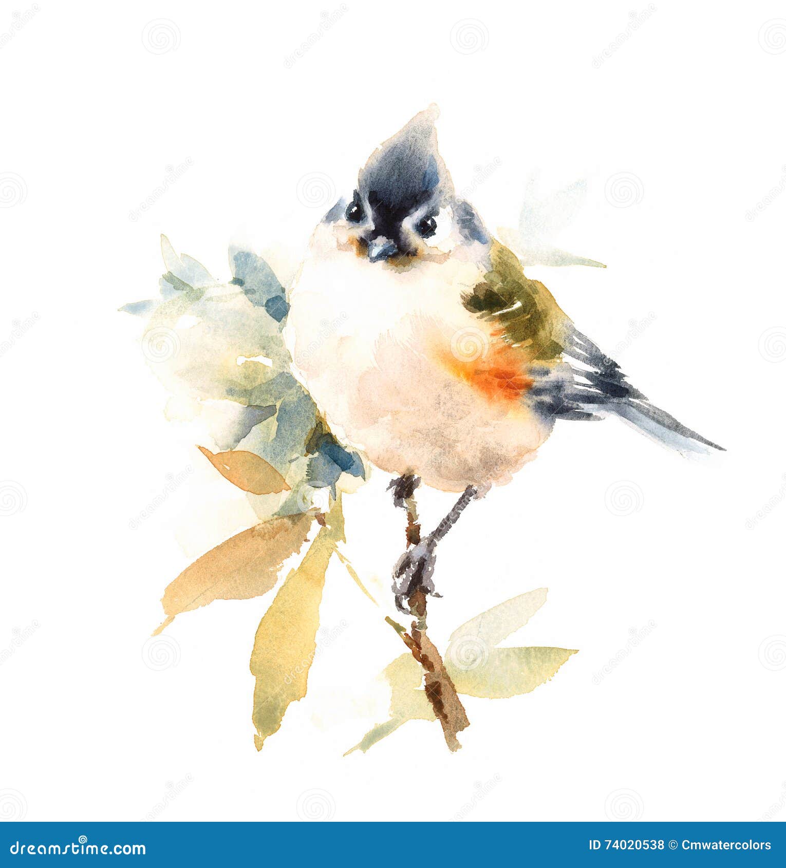 Peint à La Main D'illustration D'aquarelle D'oiseau De Mésange D'isolement  Sur Le Fond Blanc Illustration Stock - Illustration du artistique, vert:  74020538