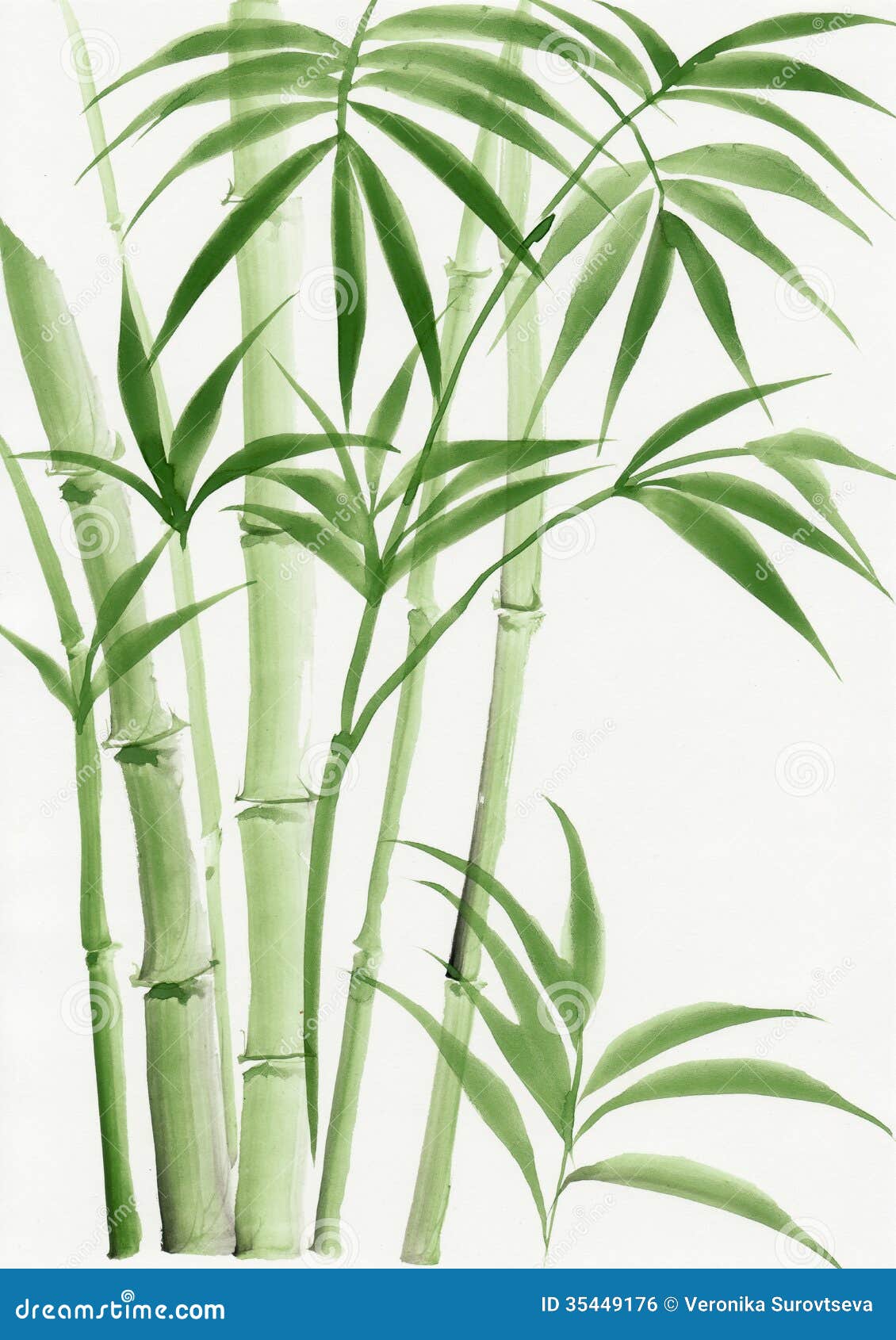 Peinture D'aquarelle De Bambou De Paume Illustration Stock