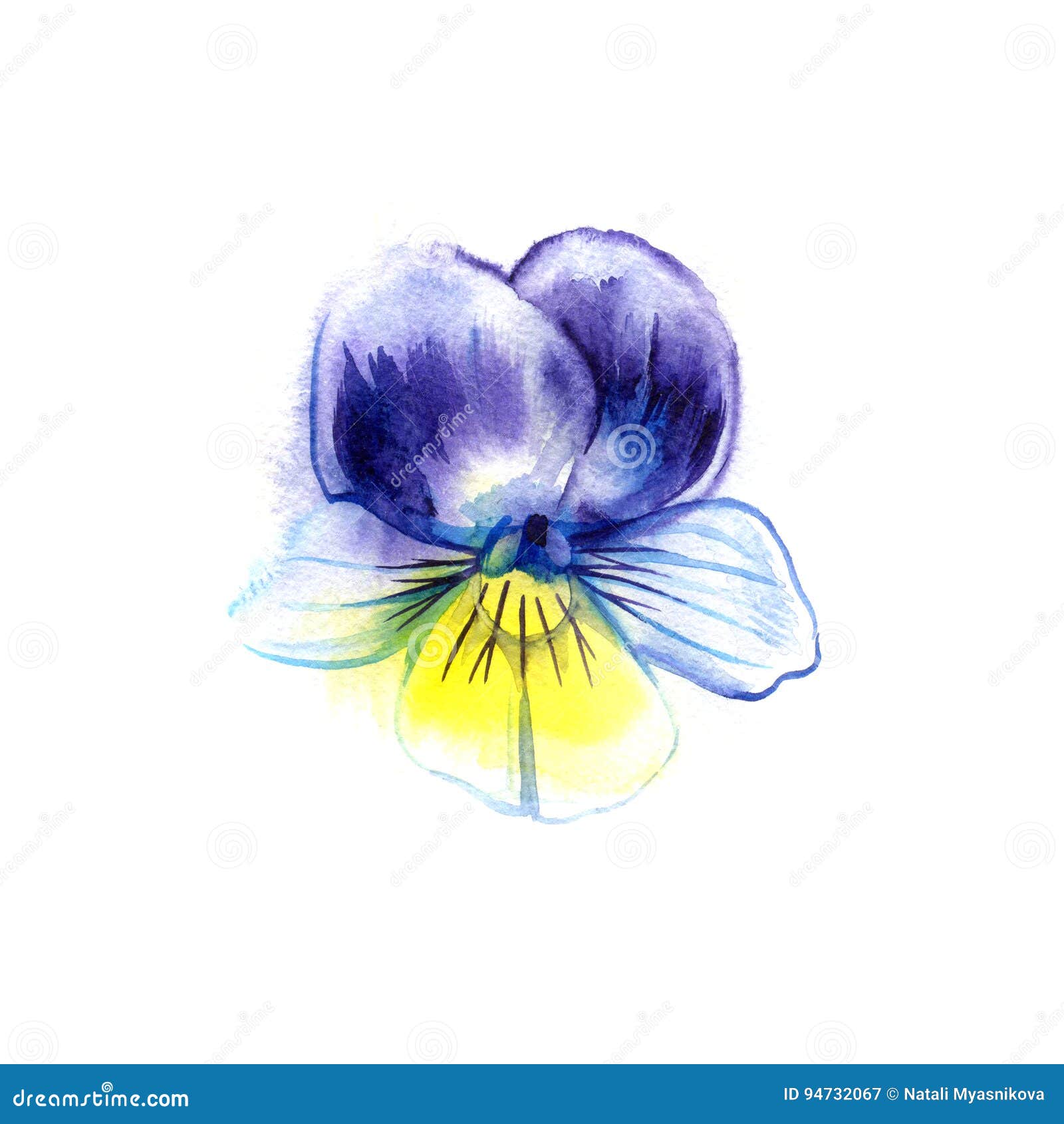 Peinture D Aquarelle De Fleur De Pensee Peut Etre Employe Comme Carte De Voeux Pour Le Fond Modeles De Textile Pages Web Maria Illustration Stock Illustration Du Etre Fond Peinture D Aquarelle De Fleur De Pensee Peut Etre Employe Comme Carte De Voeux Pour Le Fond Modeles De Textile Pages Web Maria Illustration Stock Illustration Du Etre Fond