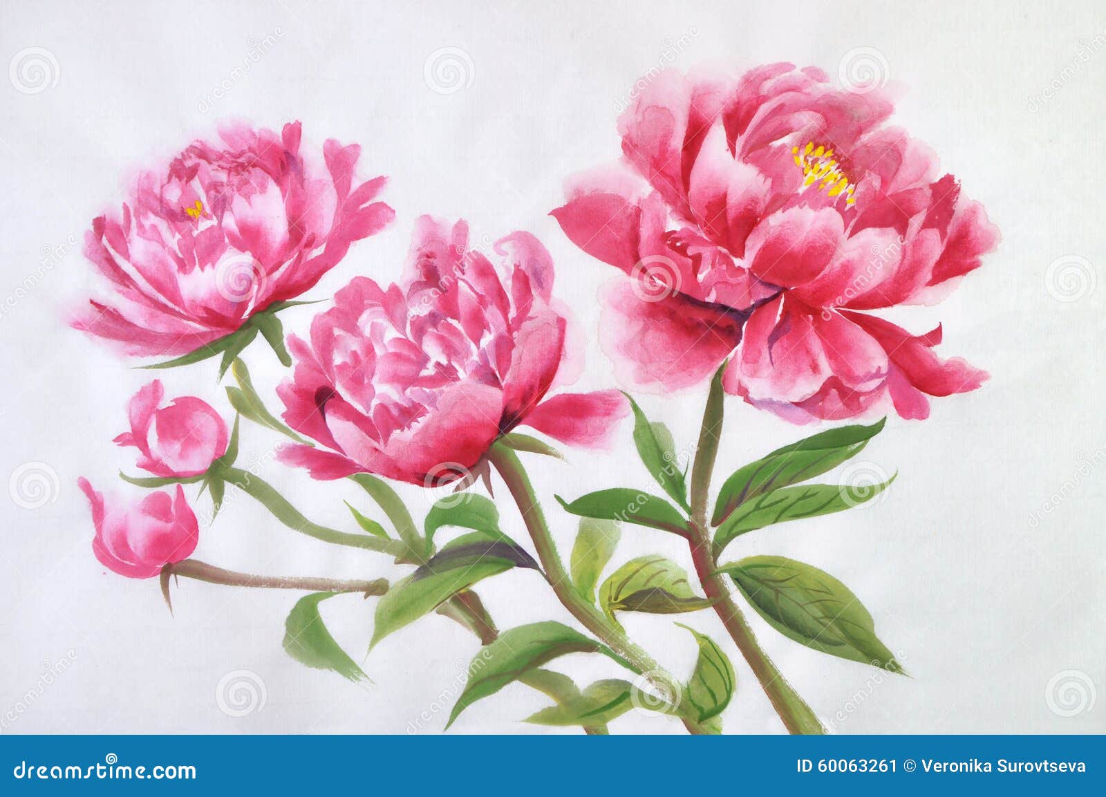 Peinture D'aquarelle De Pivoines Illustration Stock - Illustration du  floral, bouquet: 60063261