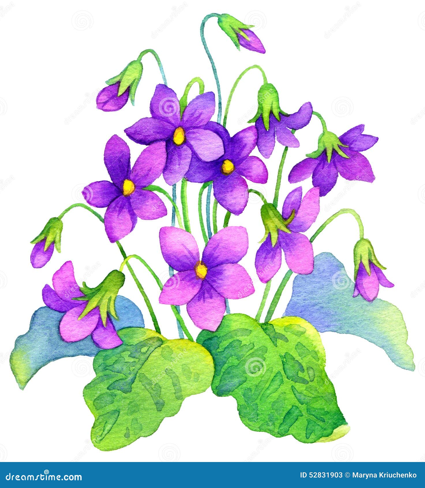 Peinture D'aquarelle Violette Sensible De Forêt De Buisson De Fleurs  Illustration Stock - Illustration du centrale, flore: 52831903