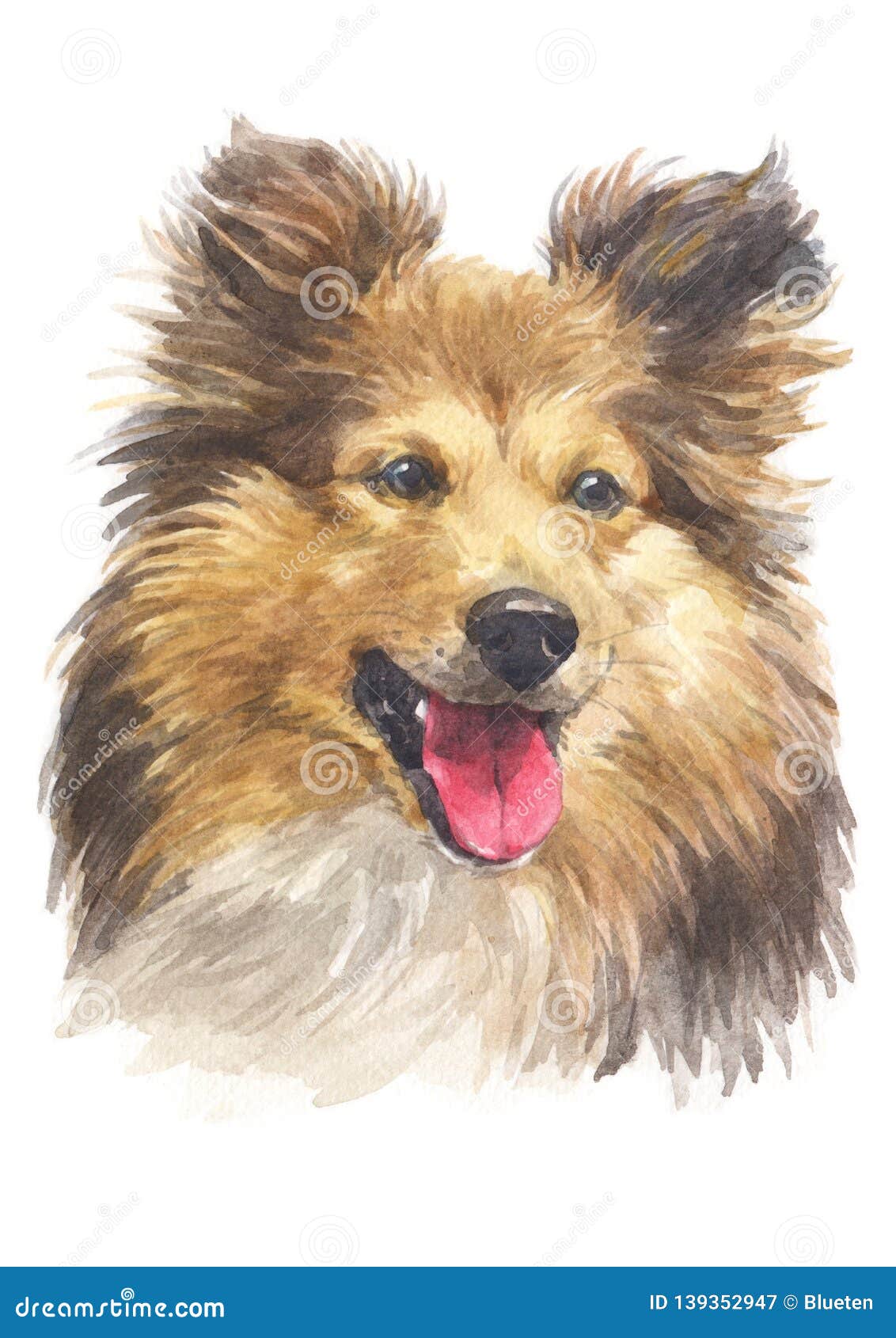 Petit Chien De Berger Liste Et Photos De Races Ooreka