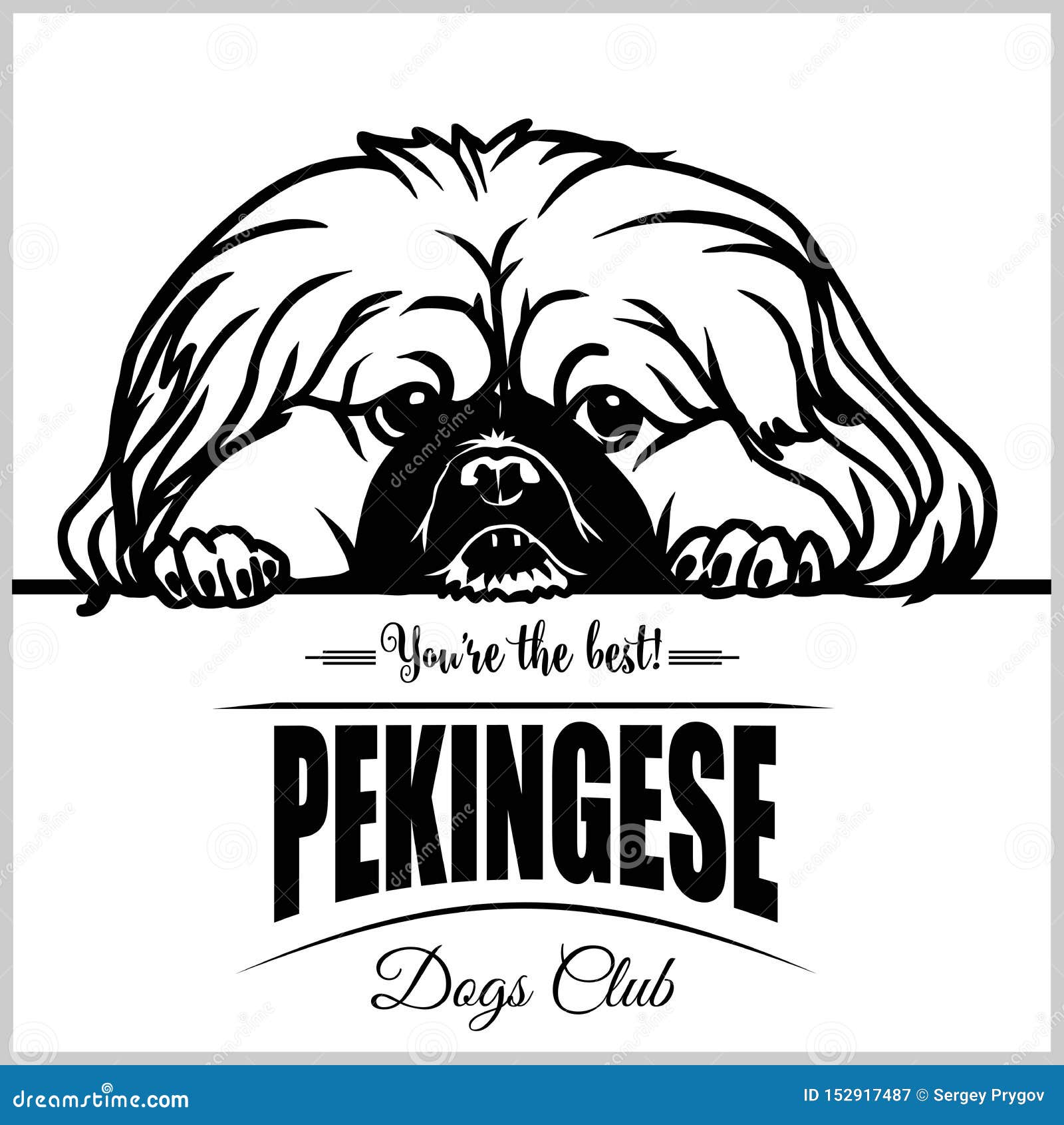Pekingese - Vector Illustration for T-shirt, Logo and Template Badges