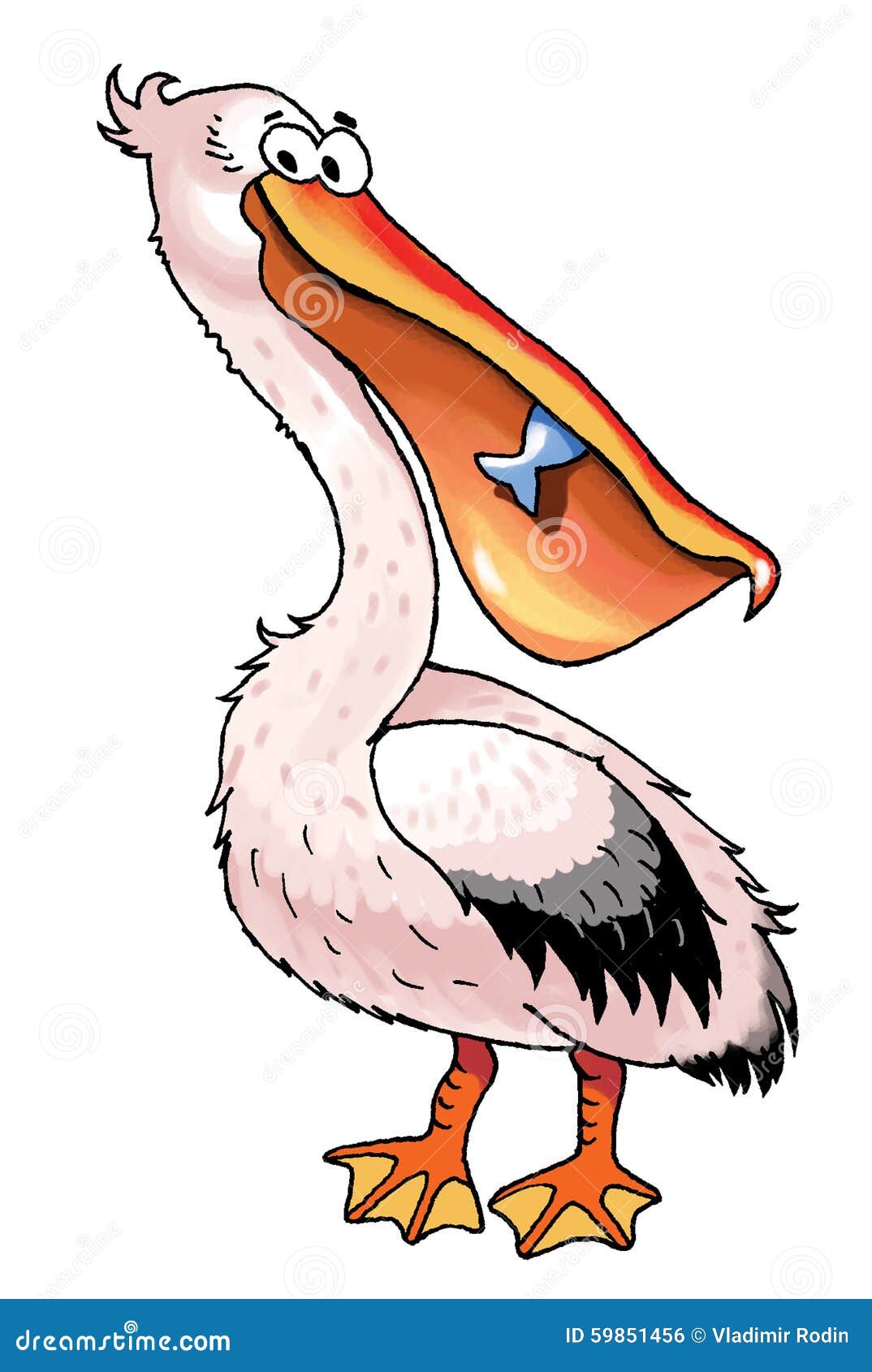 Pelican Bird Cartoon Funny Picture Plumage Stock Illustration -  Illustration of cartoon, flexible: 59851456