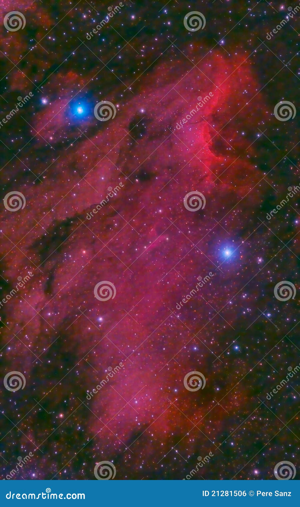 pelican nebula in cygnus