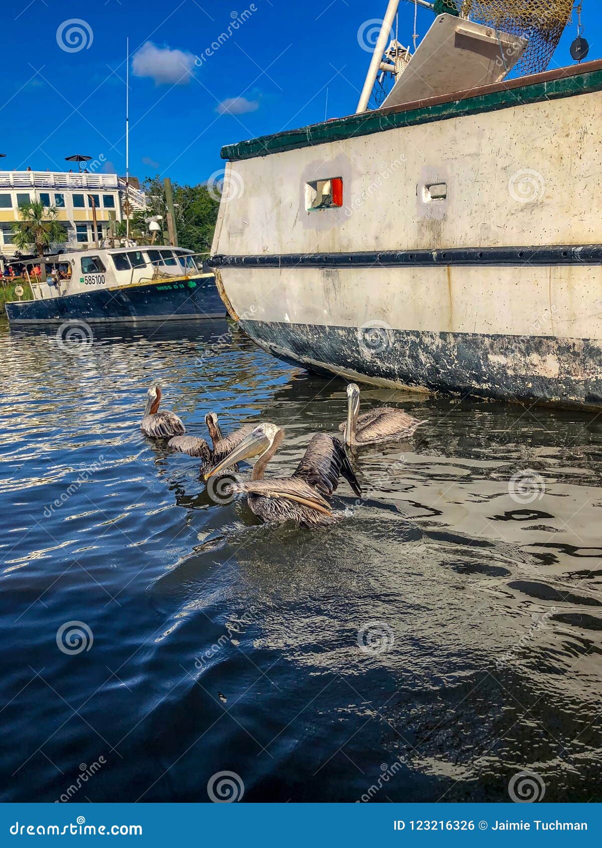 Shrimp Boat Pelicans Stock Photos - Free & Royalty-Free Stock