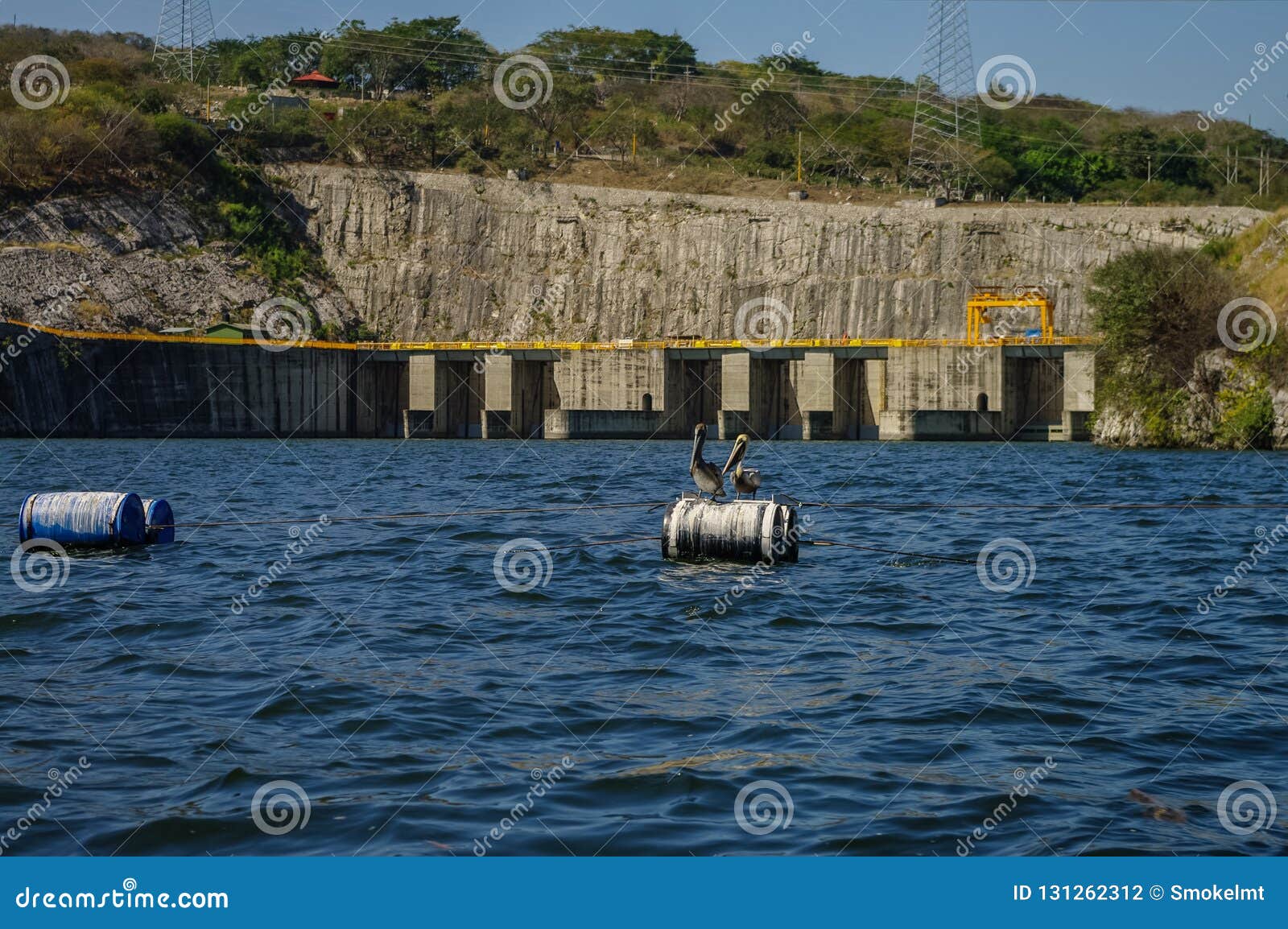 pelicans in chicoasen hydroelectric reservoir in the end of s