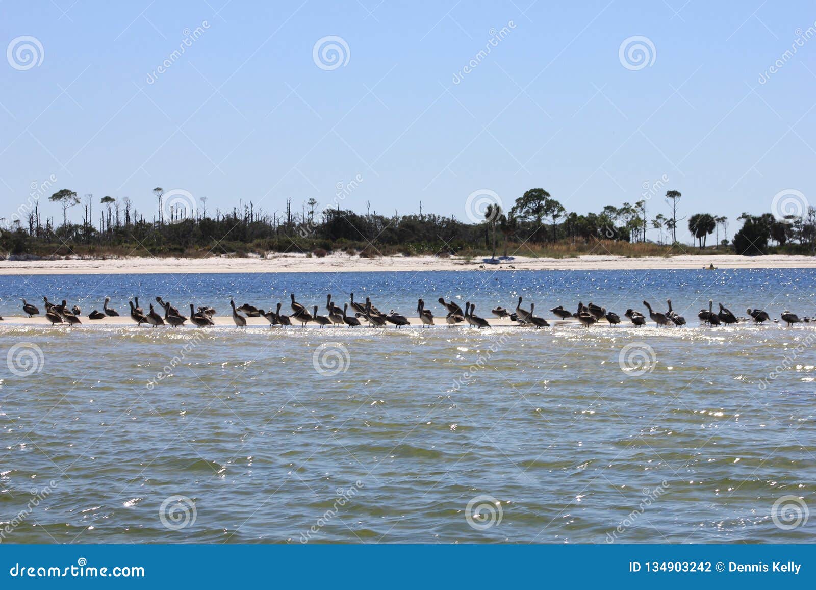 Panama City Pelicans