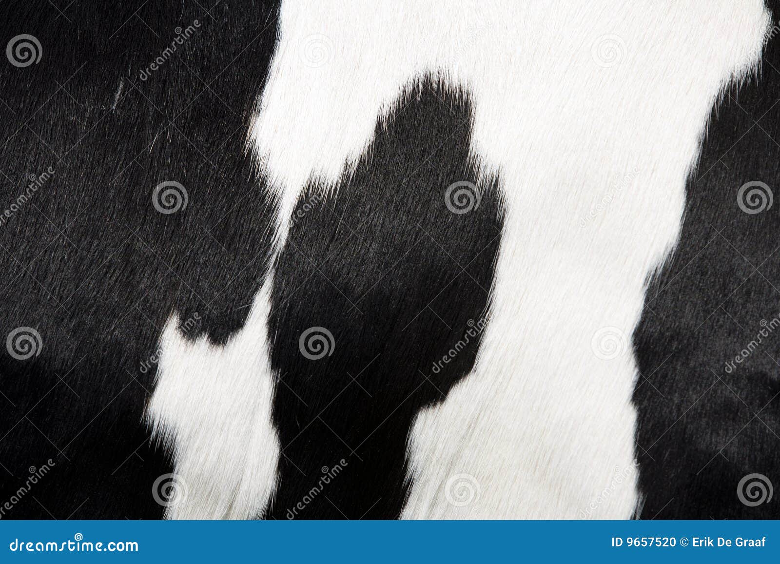 Pelle Di Mucca Conciata Al Vegetale: Vera Pelle Di Mucca Morbida E Flessibile (1,2 Mm 3 Oz) - Italia