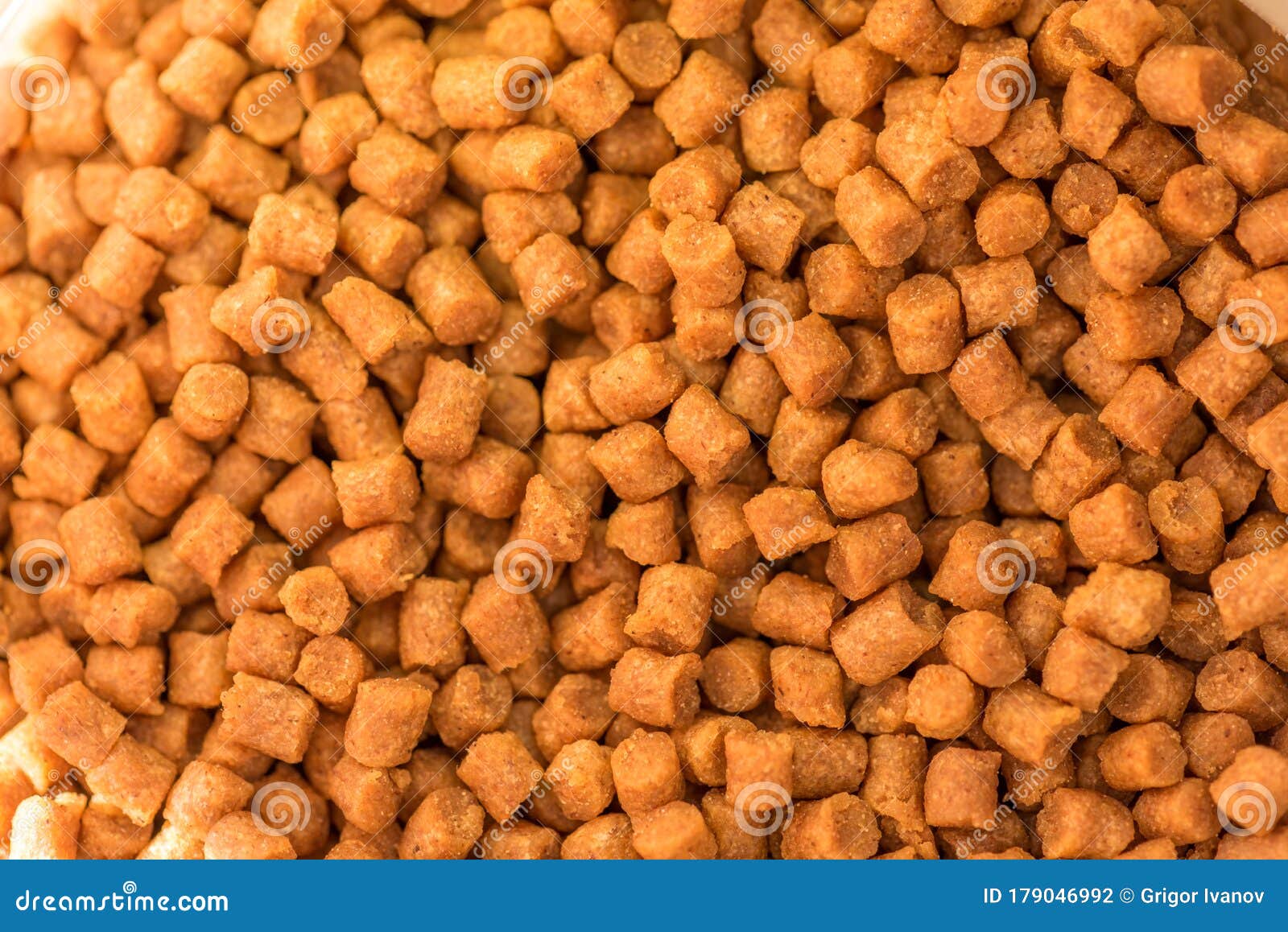 Pellet Fish Feed stock photo. Image of group, lots, aquaculture 179046992