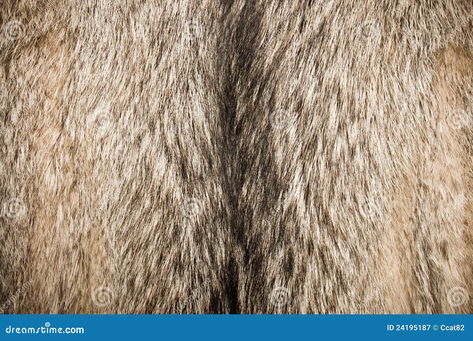 Warhammer 40k Well Painted Space Wolf Heads X5 - Foto 6