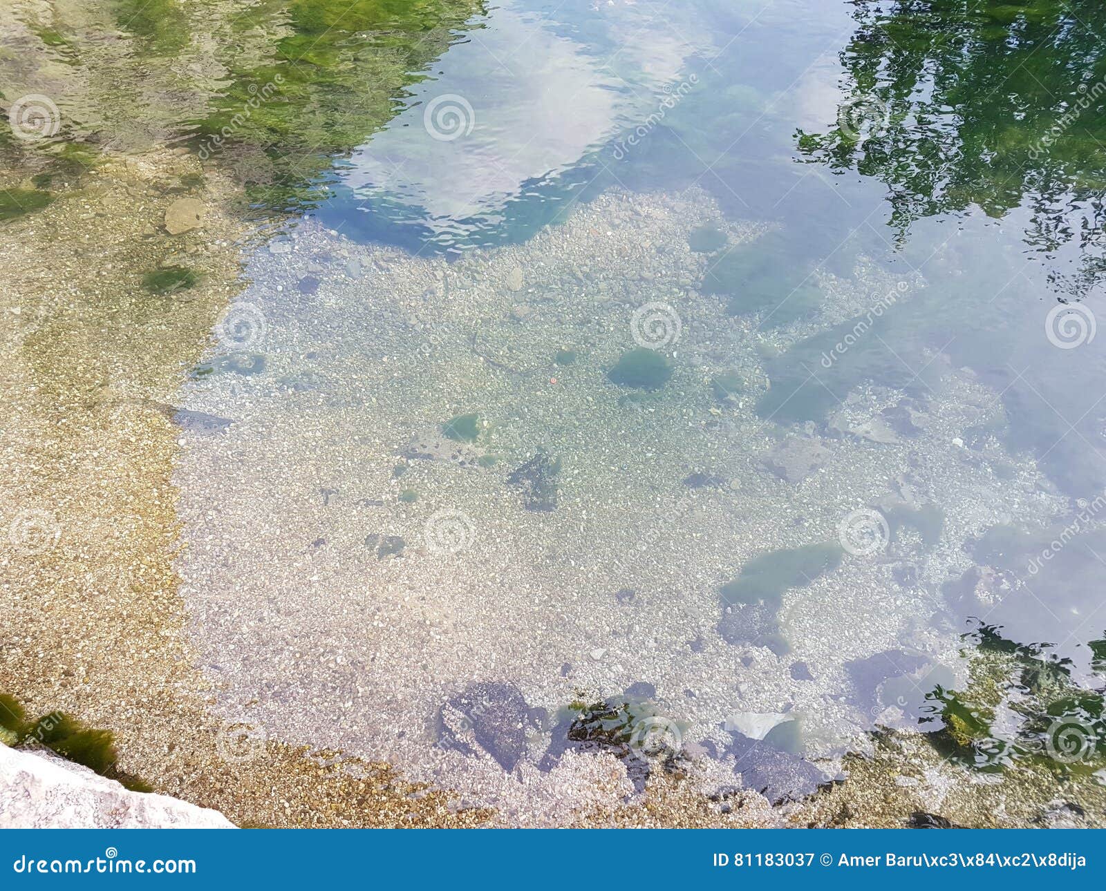 pellucid water pellucid water