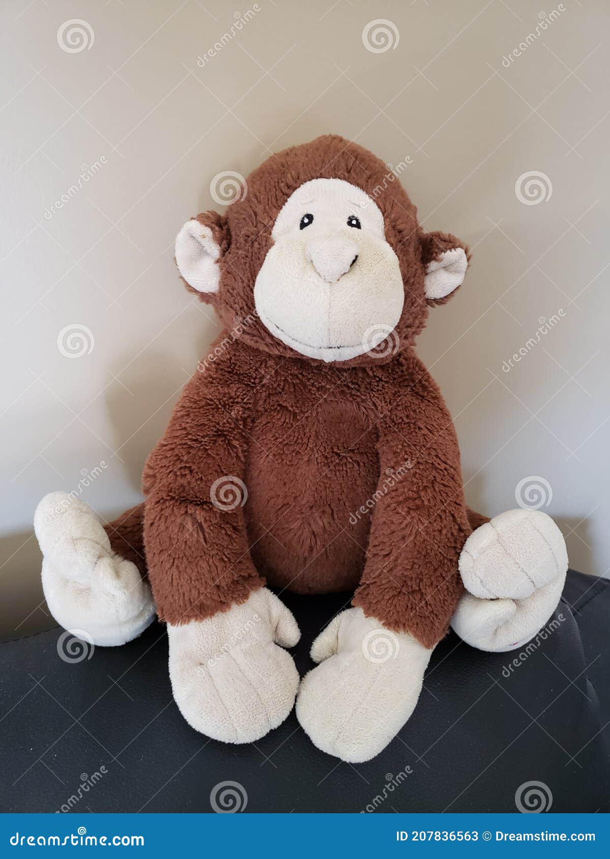 Peluche Mono Peluche Juguete Sentado Pacientemente Imagen de archivo -  Imagen de animal, mascota: 207836563