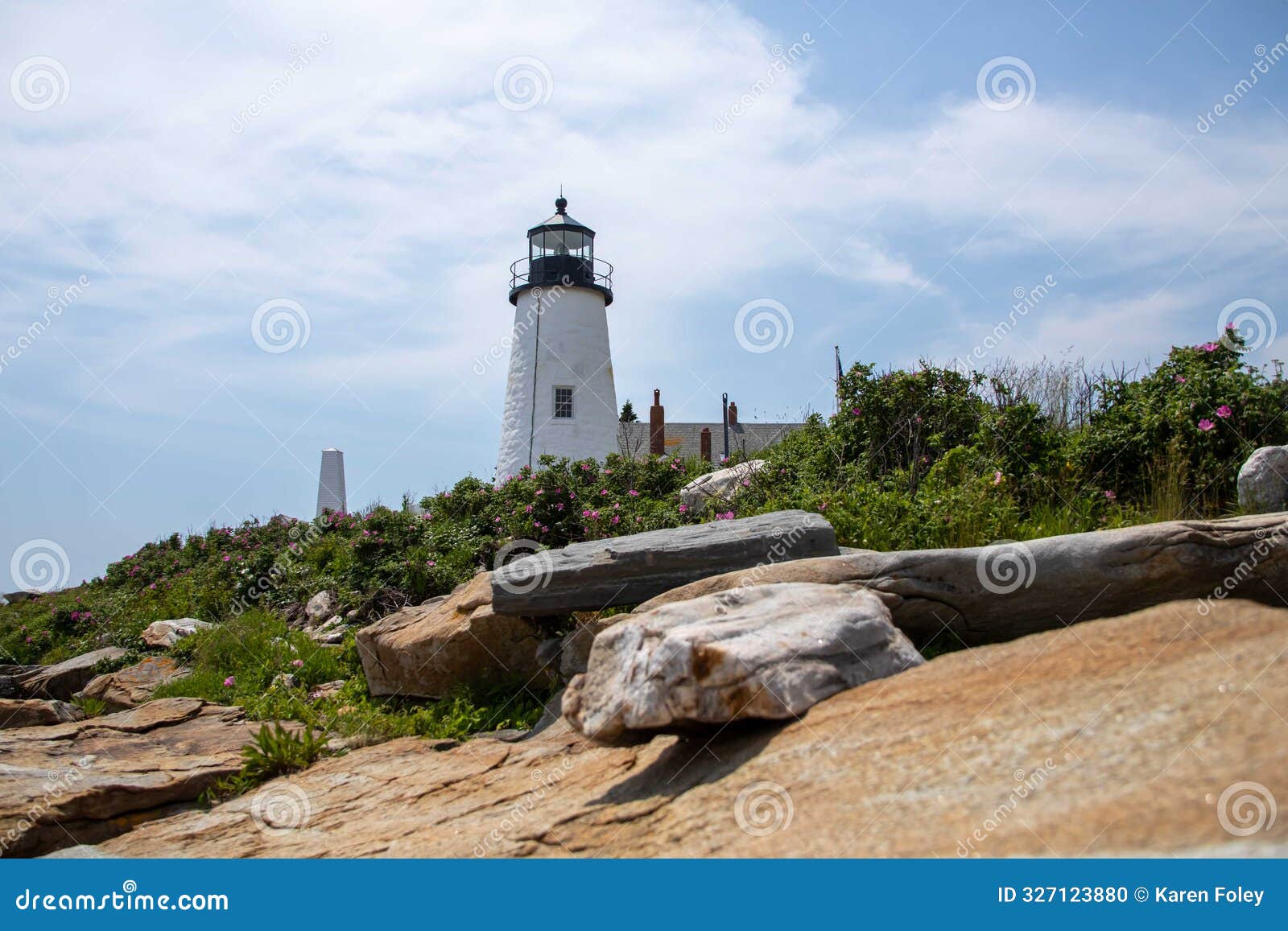 rocky coastline at pemaquid point light